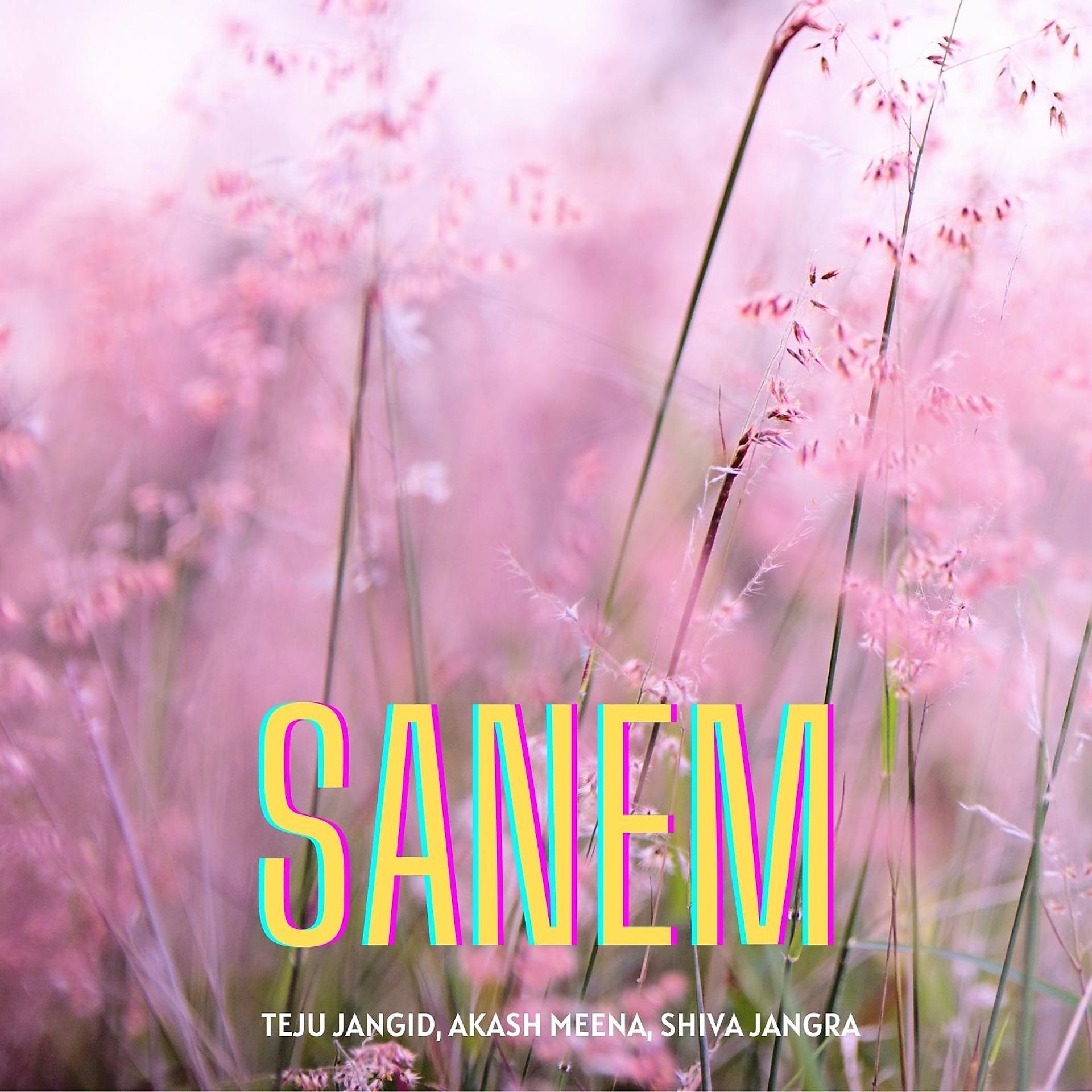 Постер альбома Sanem