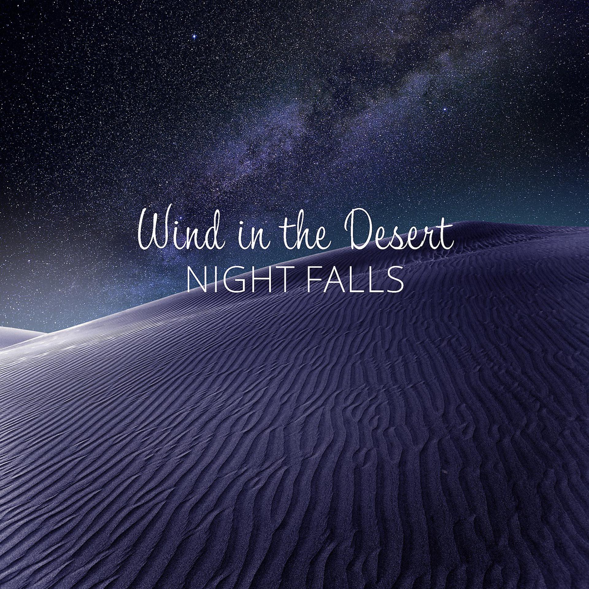 Постер альбома Wind in the Desert