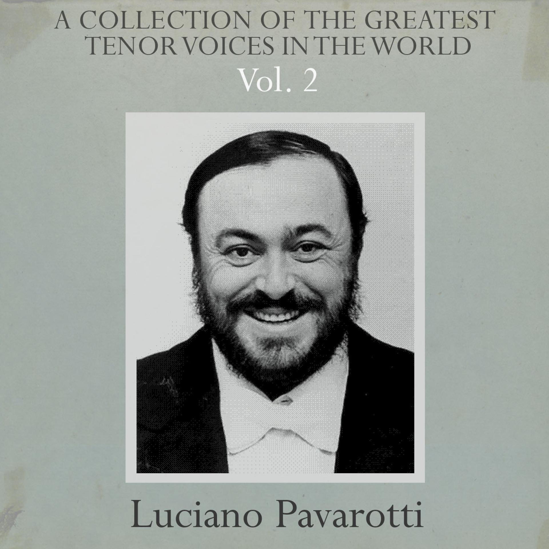 Постер альбома A Collection of the Greatest Tenor Voices in the World, Vol. 2