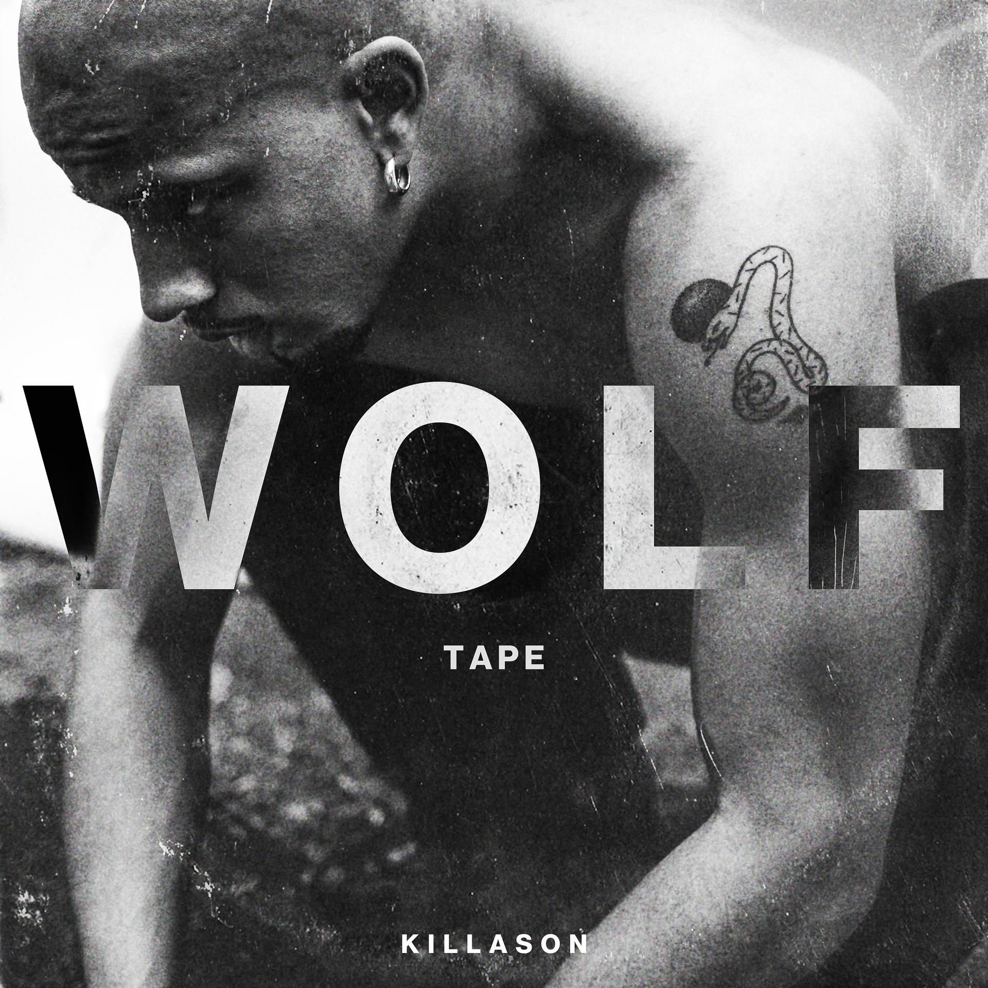 Постер альбома WOLF TAPE