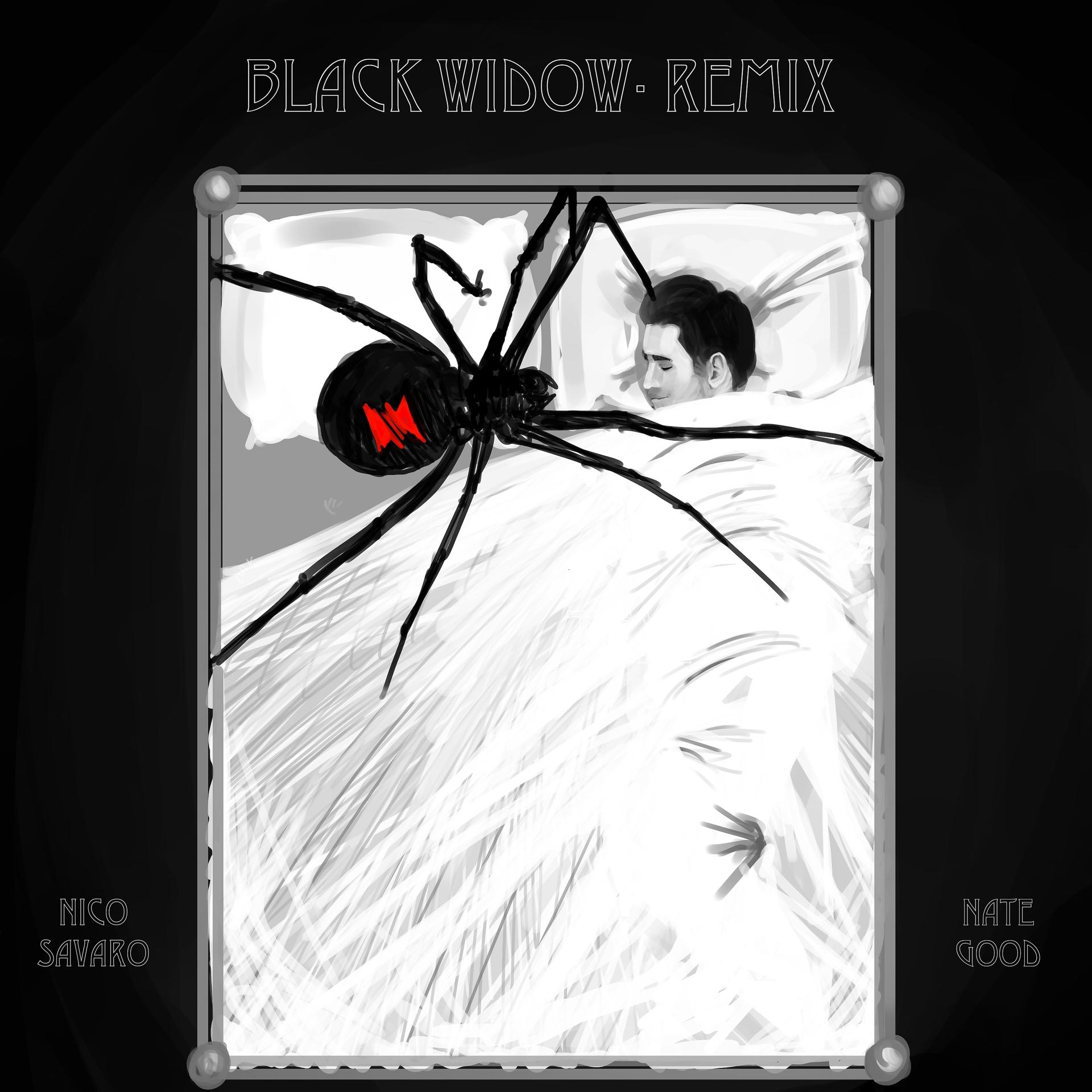 Постер альбома Black Widow (Remix)