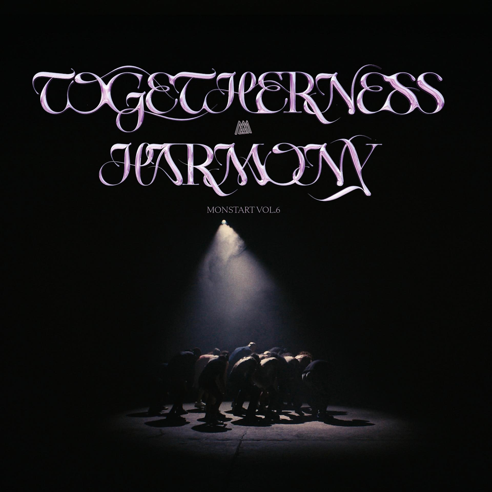 Постер альбома Togetherness Harmony