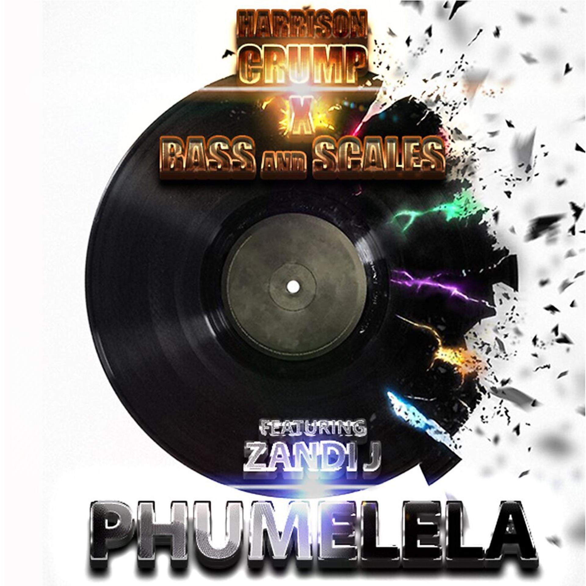 Постер альбома Phumelela