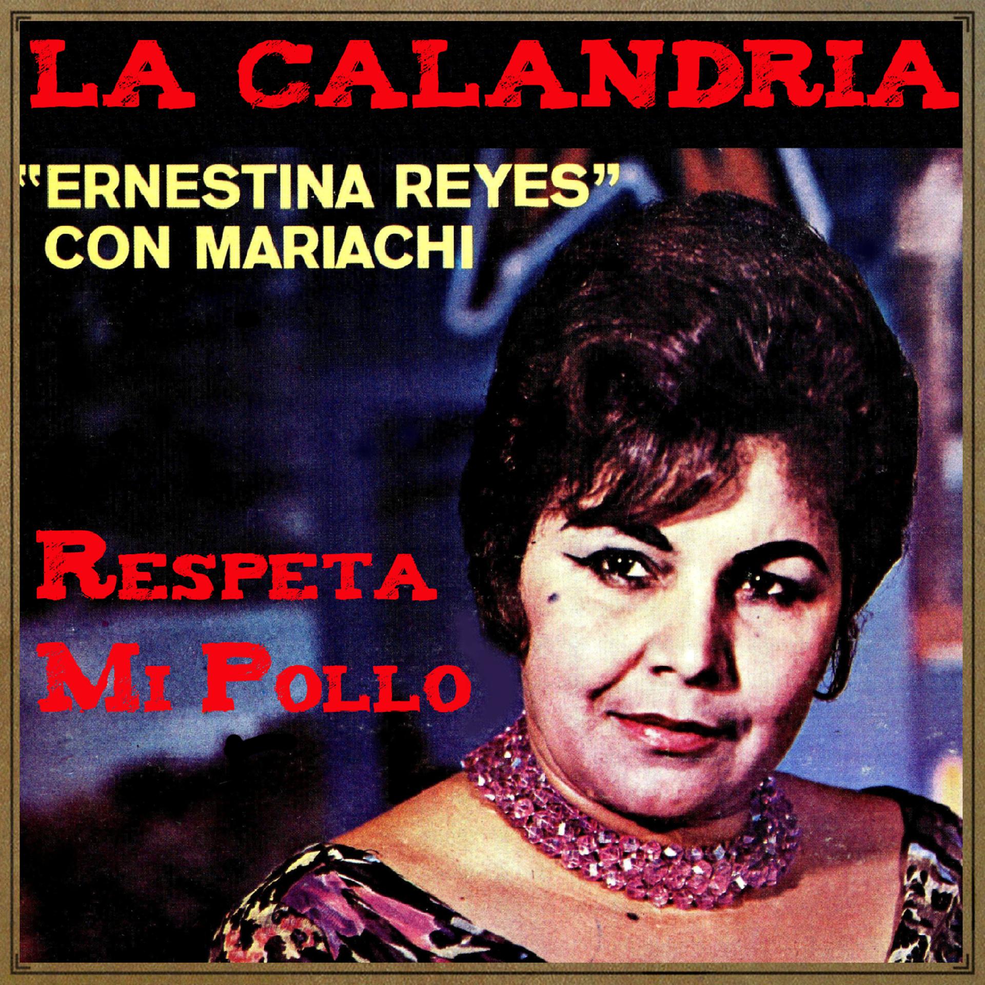 Постер альбома Respeta Mi Pollo