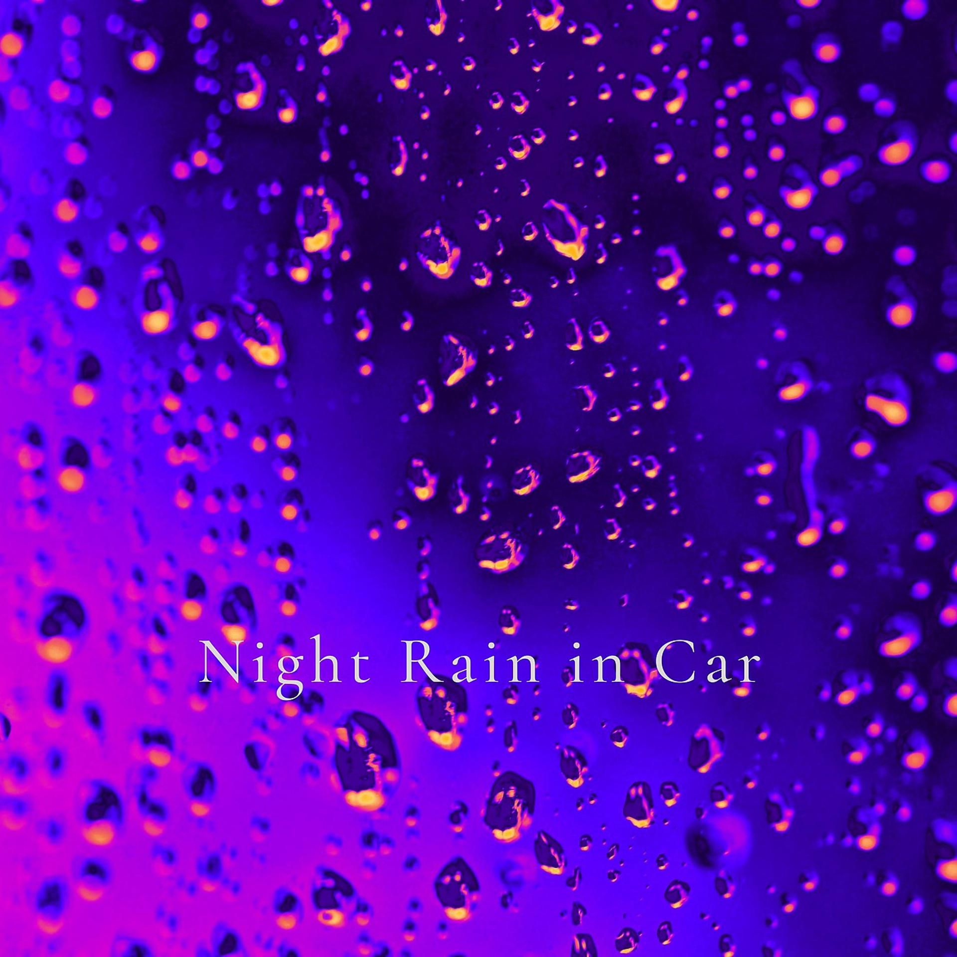 Постер альбома Night Rain in Car