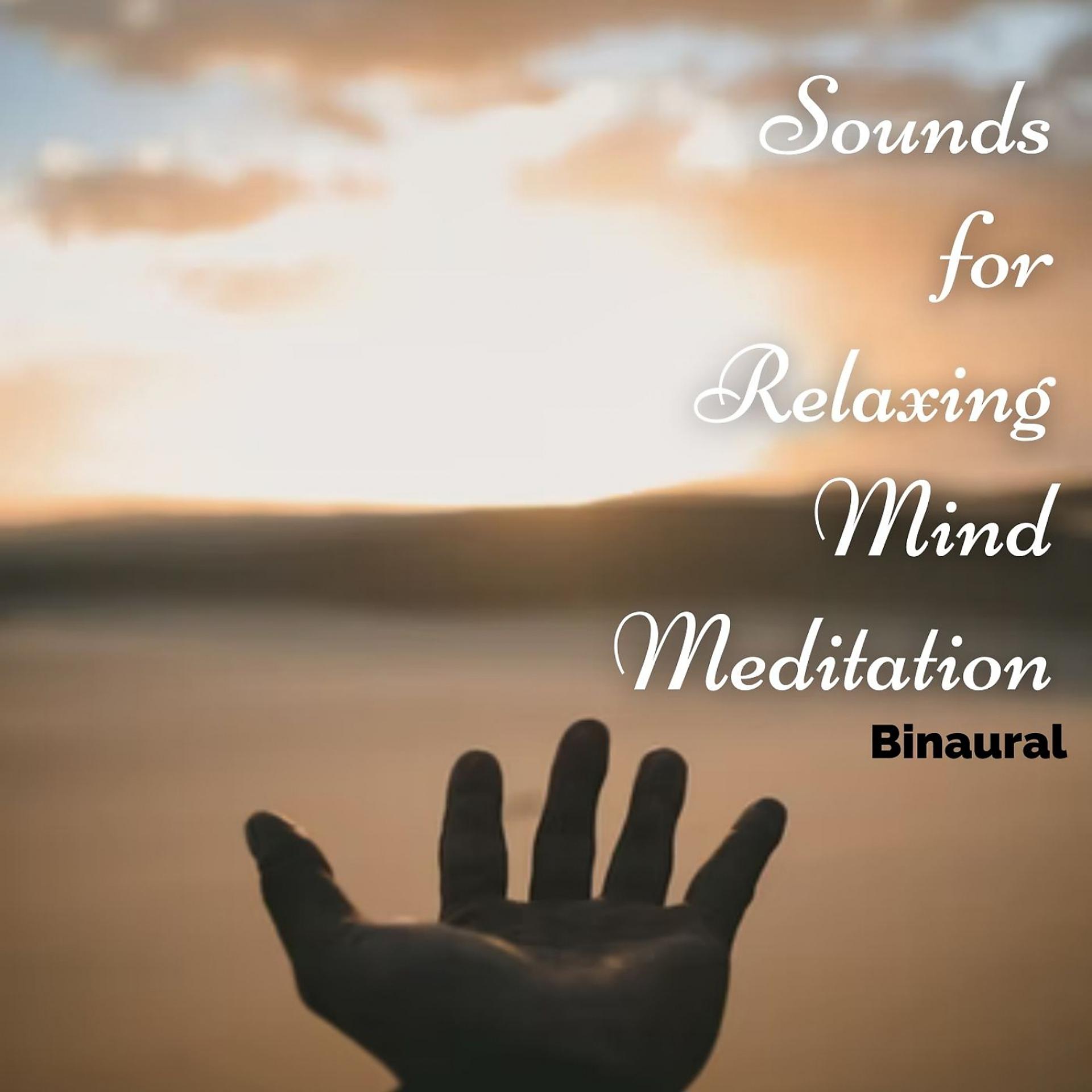Постер альбома Binaural: Sounds for Relaxing Mind Meditation