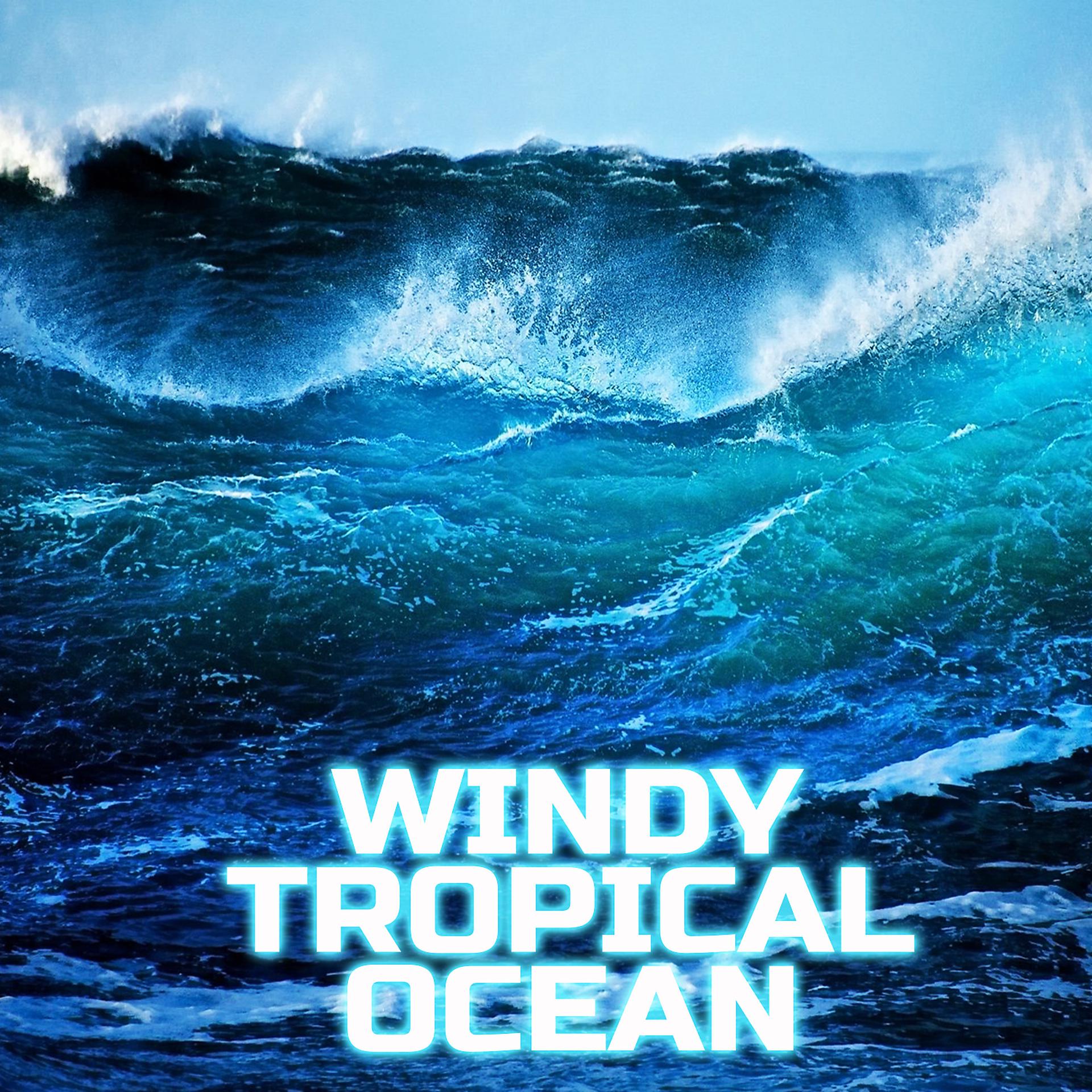 Постер альбома Windy Tropical Ocean
