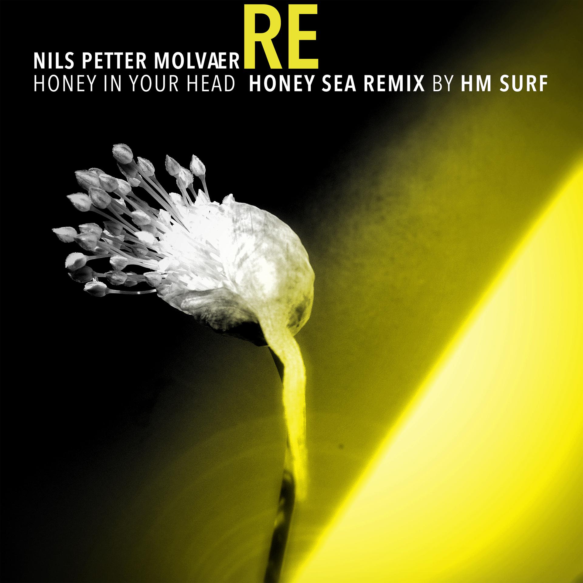 Постер альбома Honey in Your Head (Honey Sea Remix by HM Surf)
