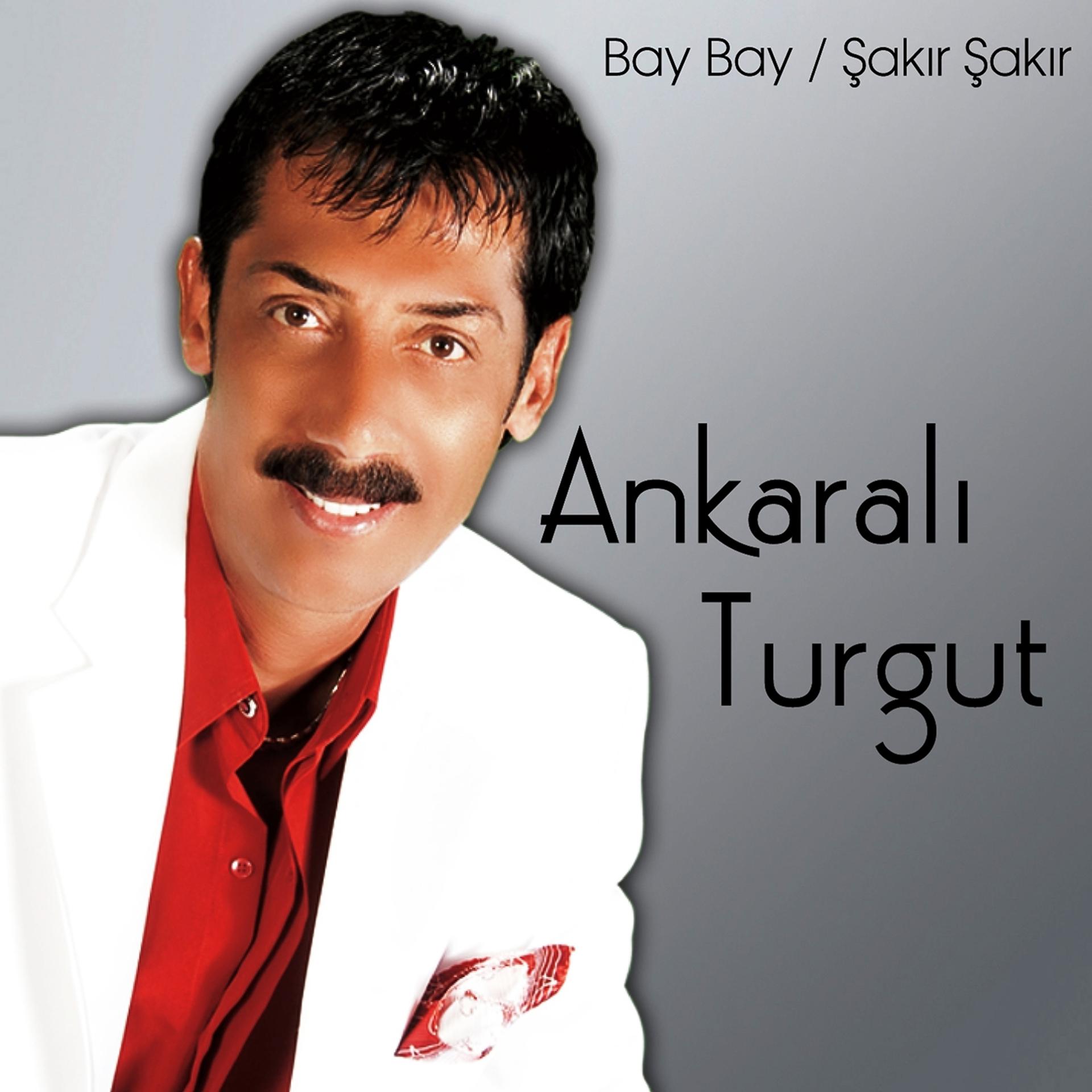 Постер альбома Bay Bay / Şakır Şakır