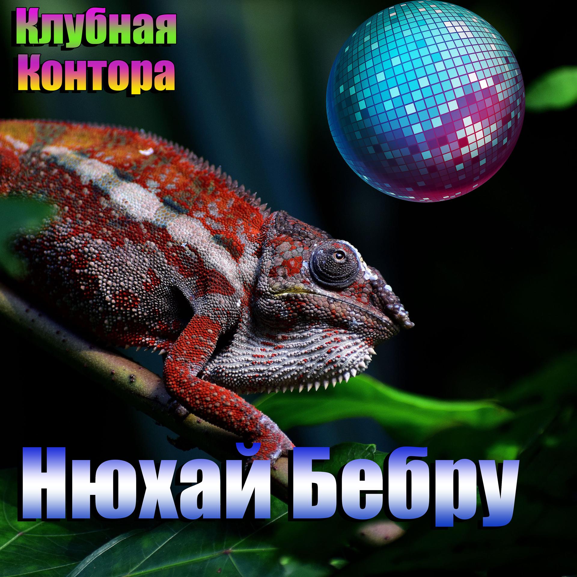Постер альбома Нюхай бебру (feat. Hotalex)