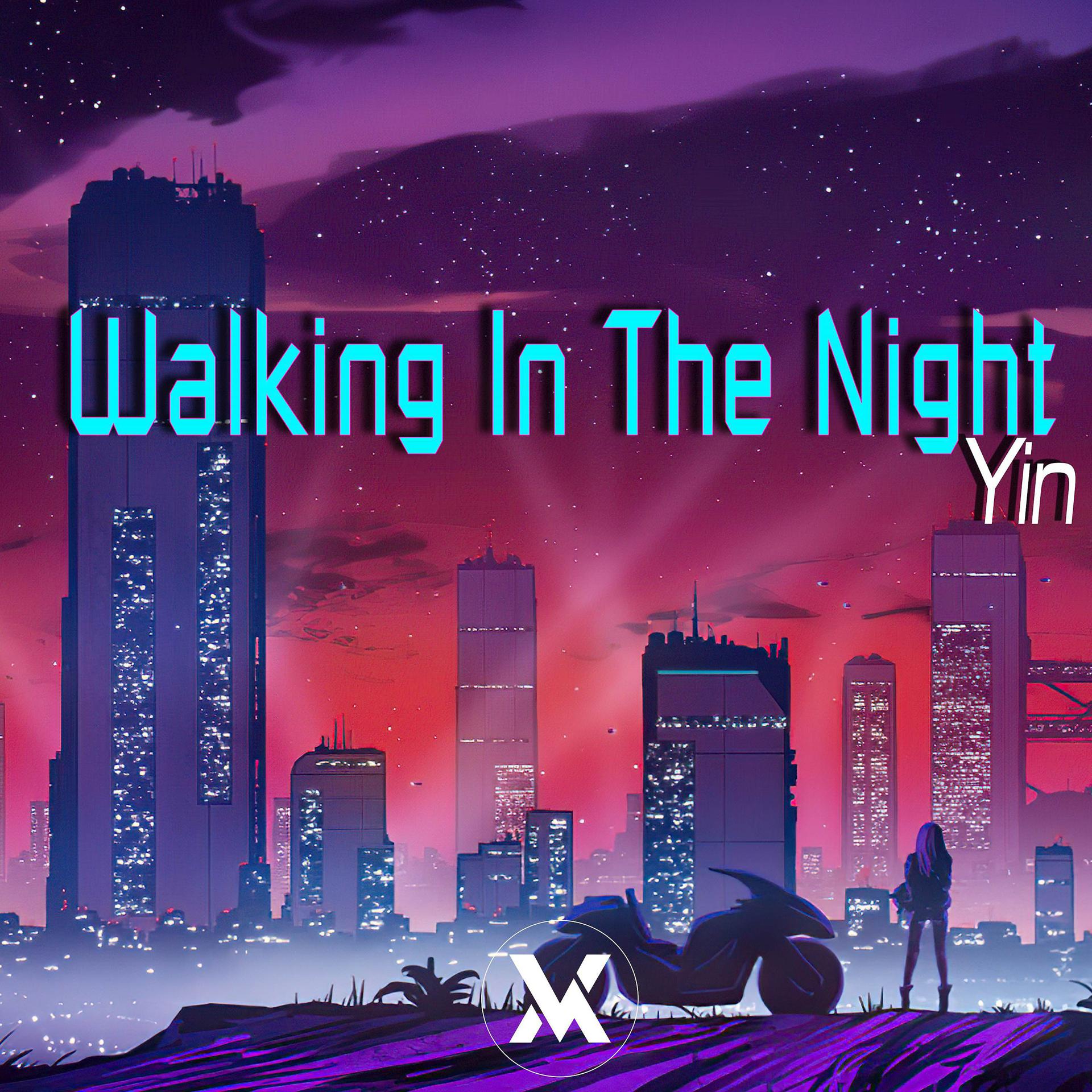 Постер альбома Walking In The Night