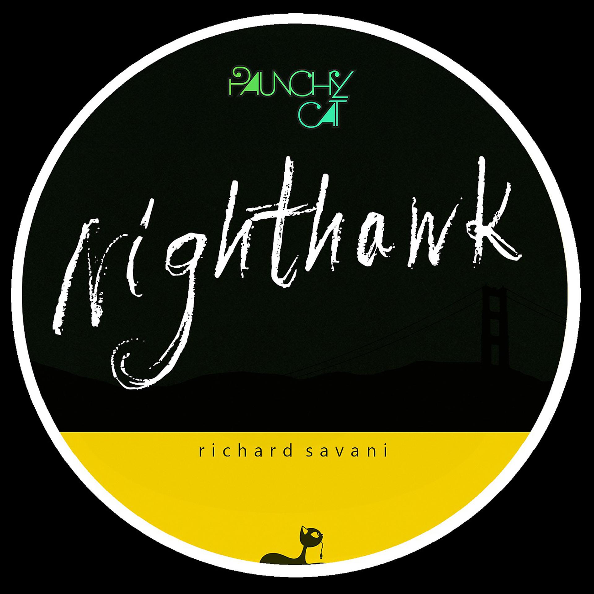 Постер альбома Nighthawk
