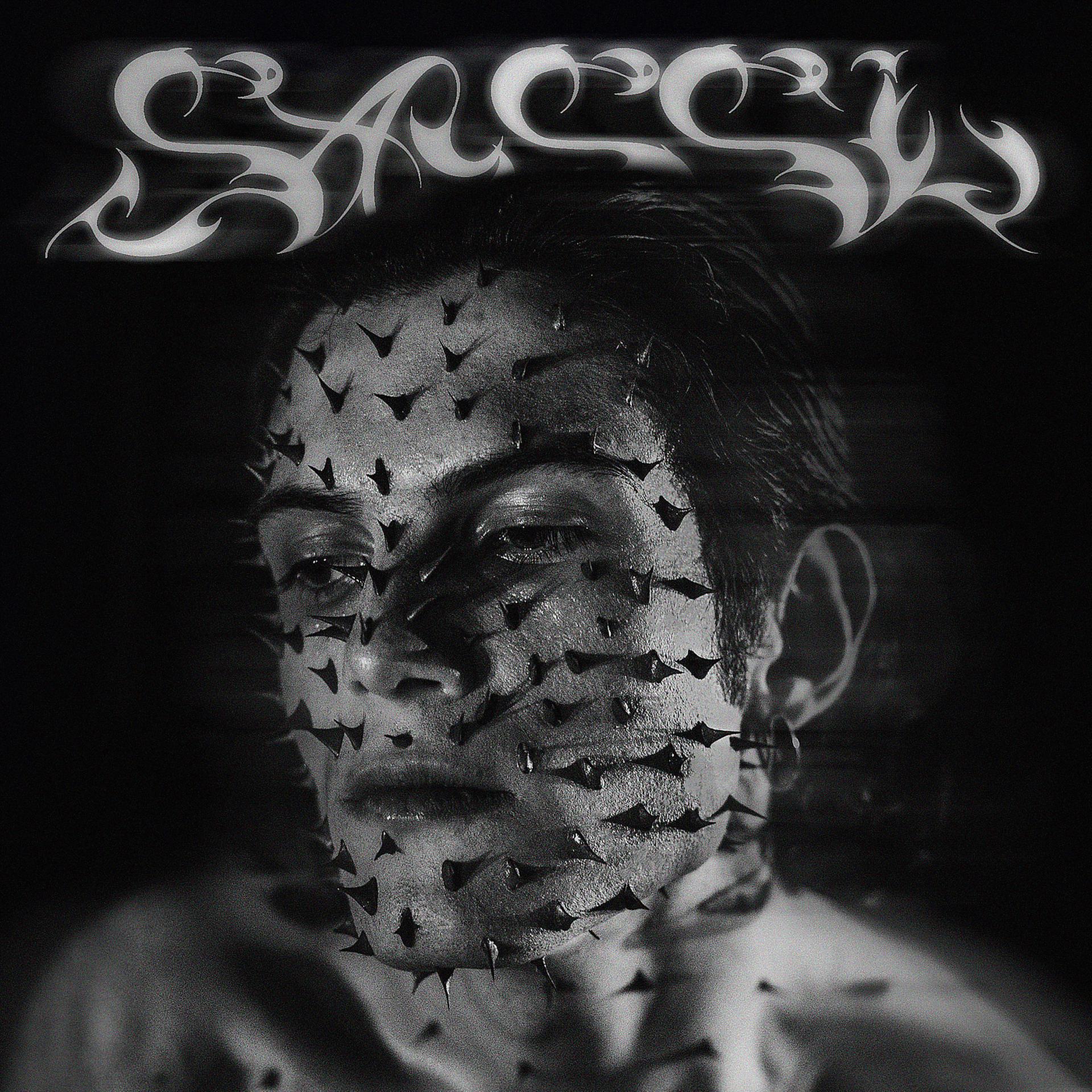 Постер альбома SASSI