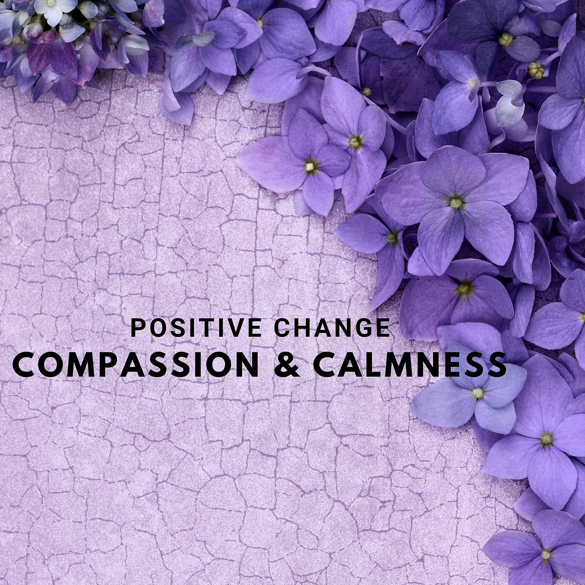 Постер альбома Positive Change: Compassion & Calmness