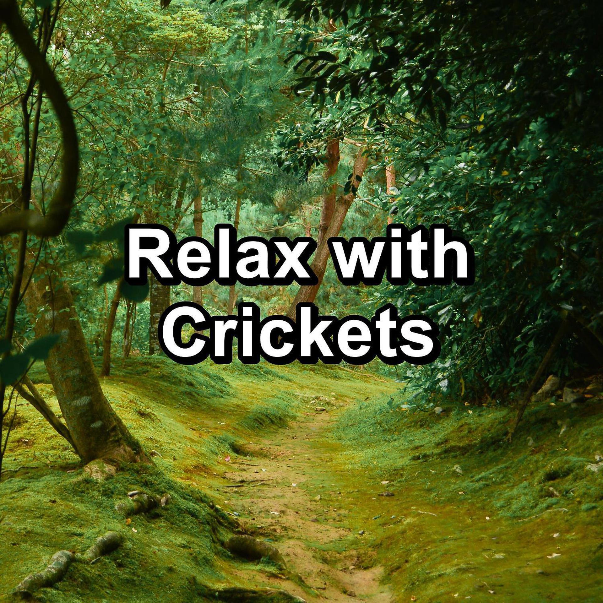 Постер альбома Relax with Crickets