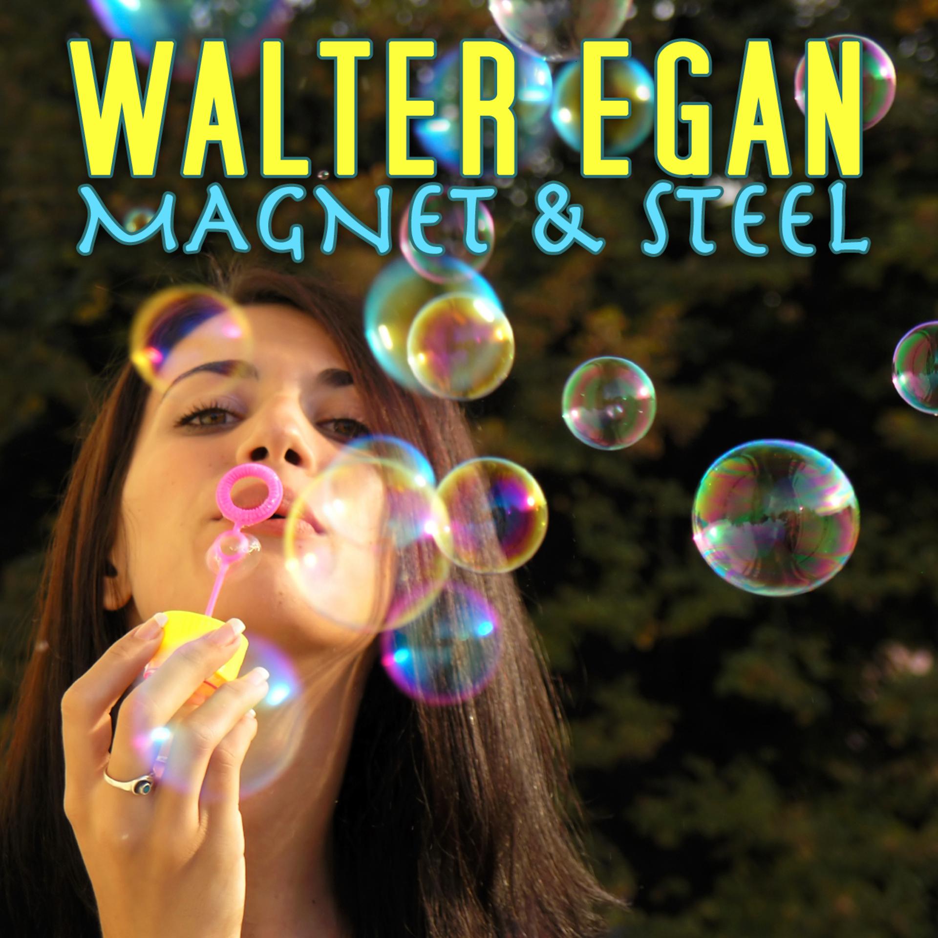 Постер альбома Magnet & Steel
