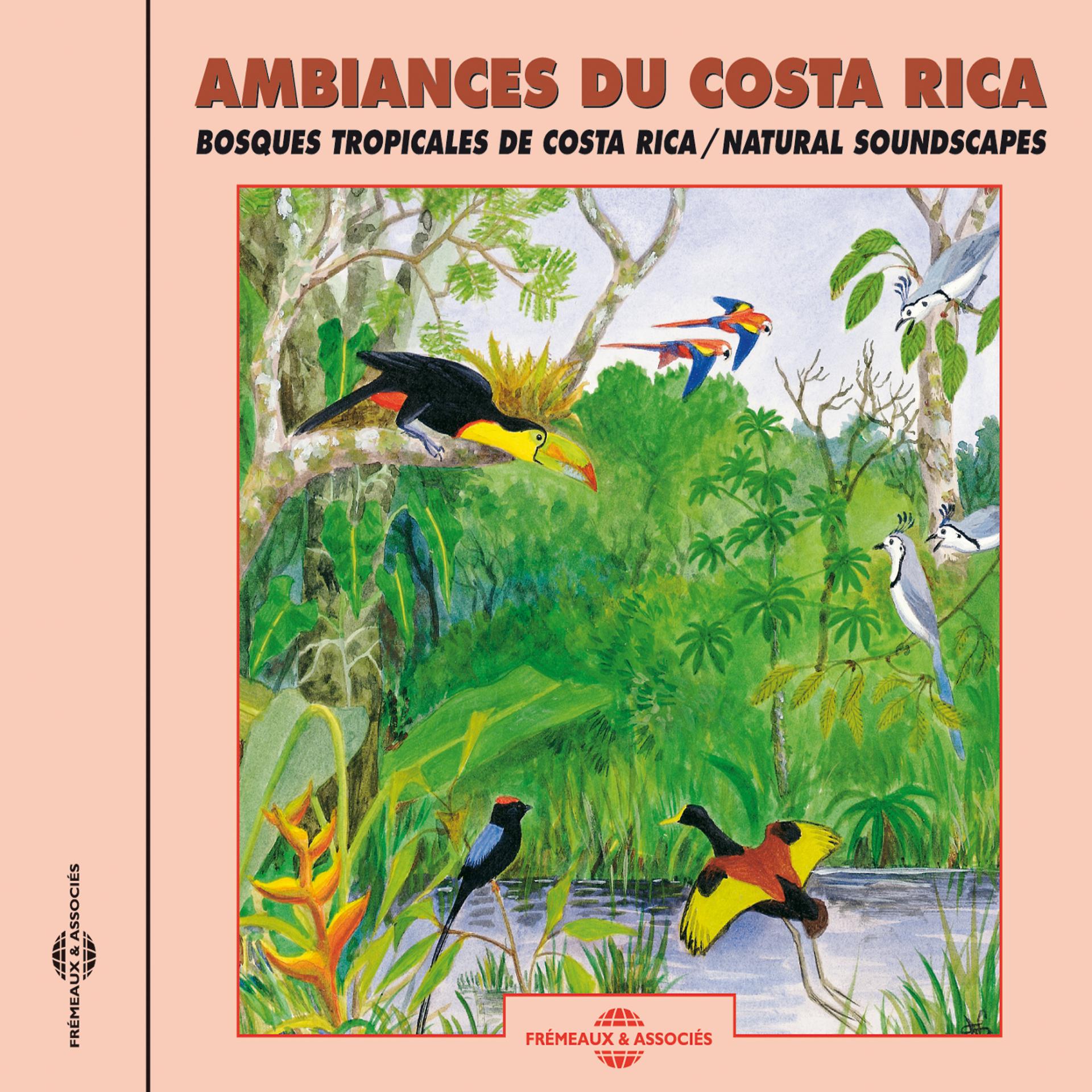 Постер альбома Ambiances Du Costa-Rica