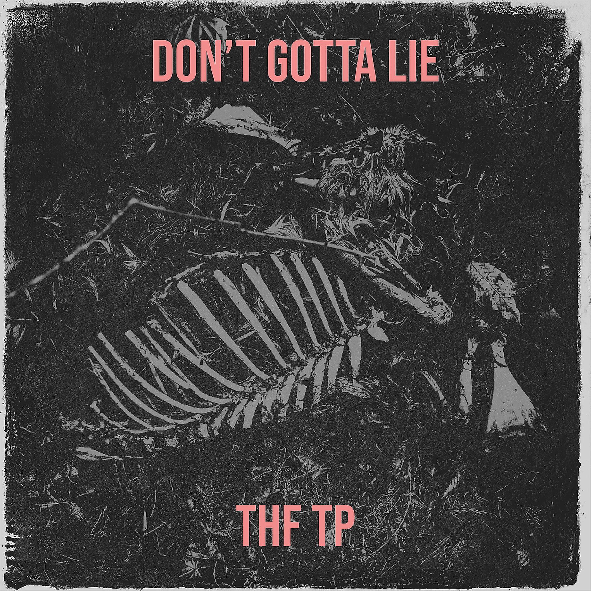 Постер альбома Don’t Gotta Lie