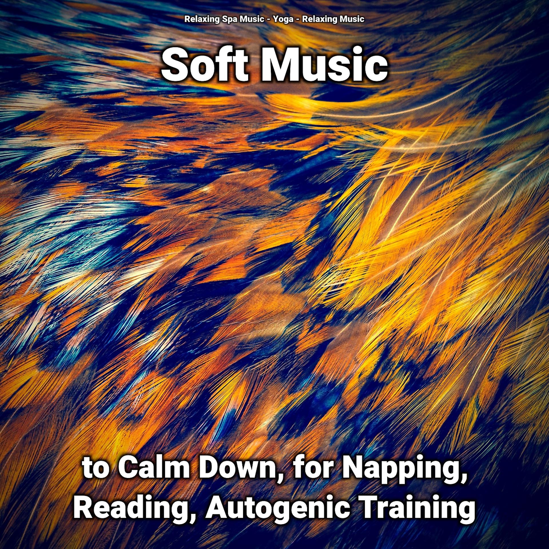 Постер альбома Soft Music to Calm Down, for Napping, Reading, Autogenic Training