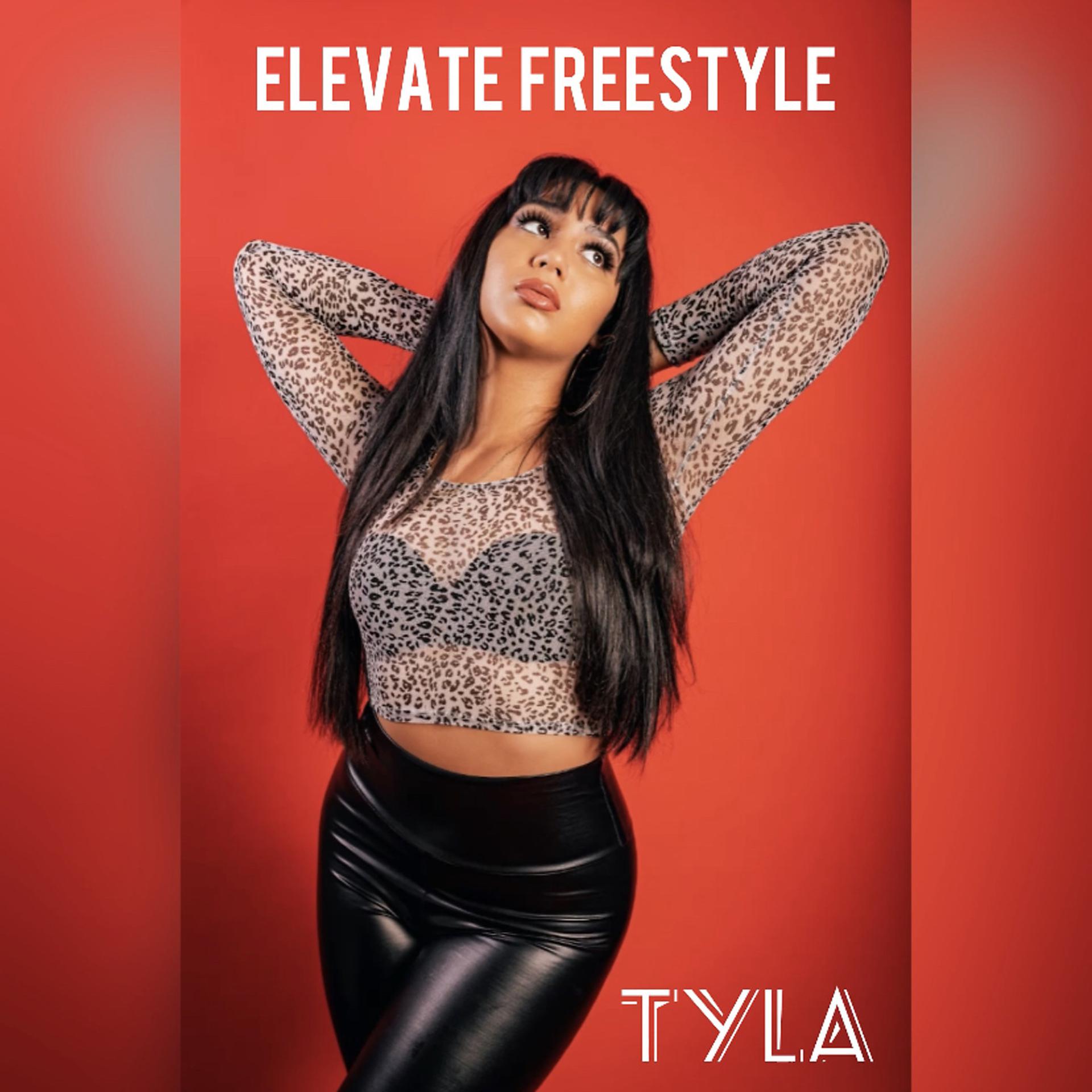 Постер альбома Elevate (Freestyle)