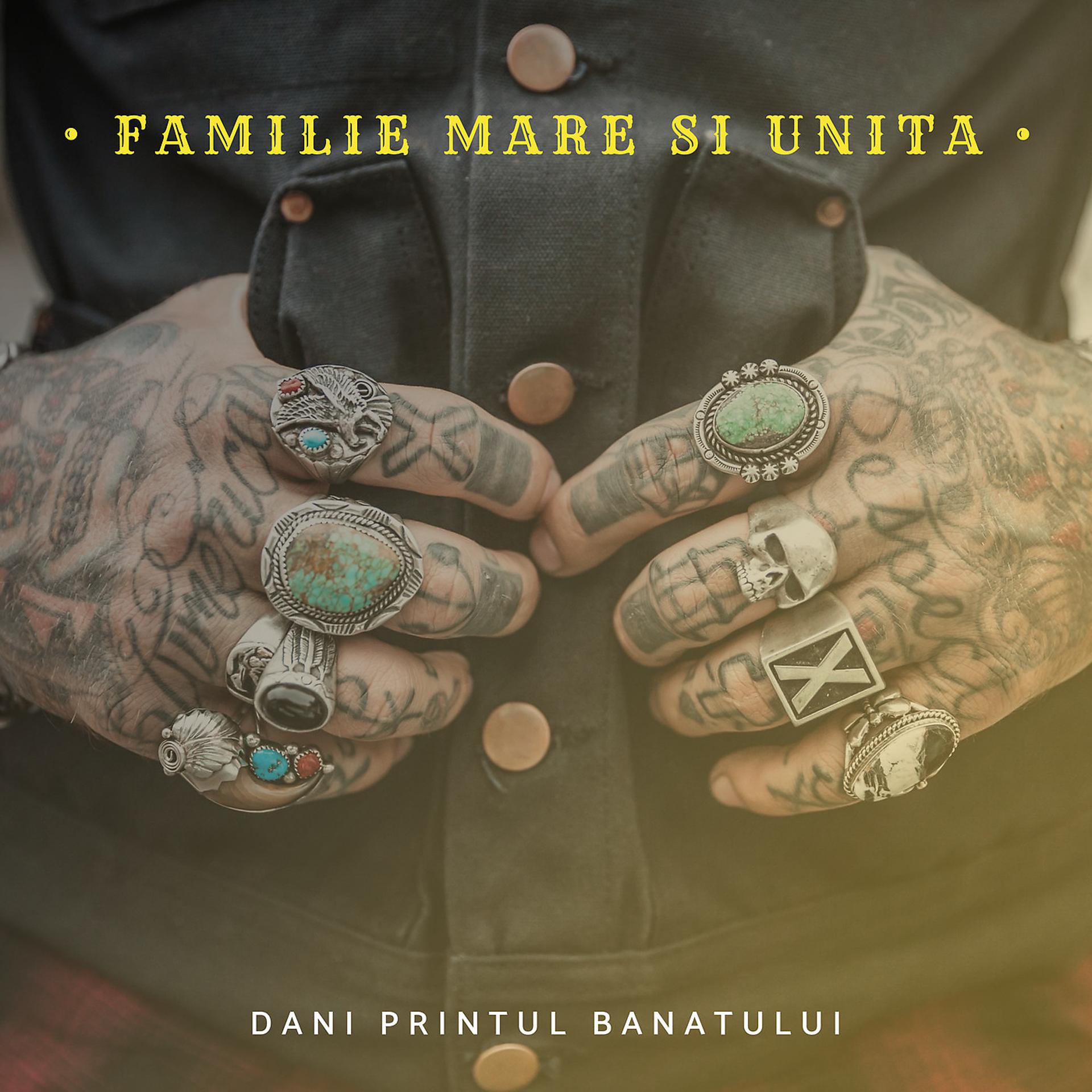Постер альбома Familie Mare Si Unita