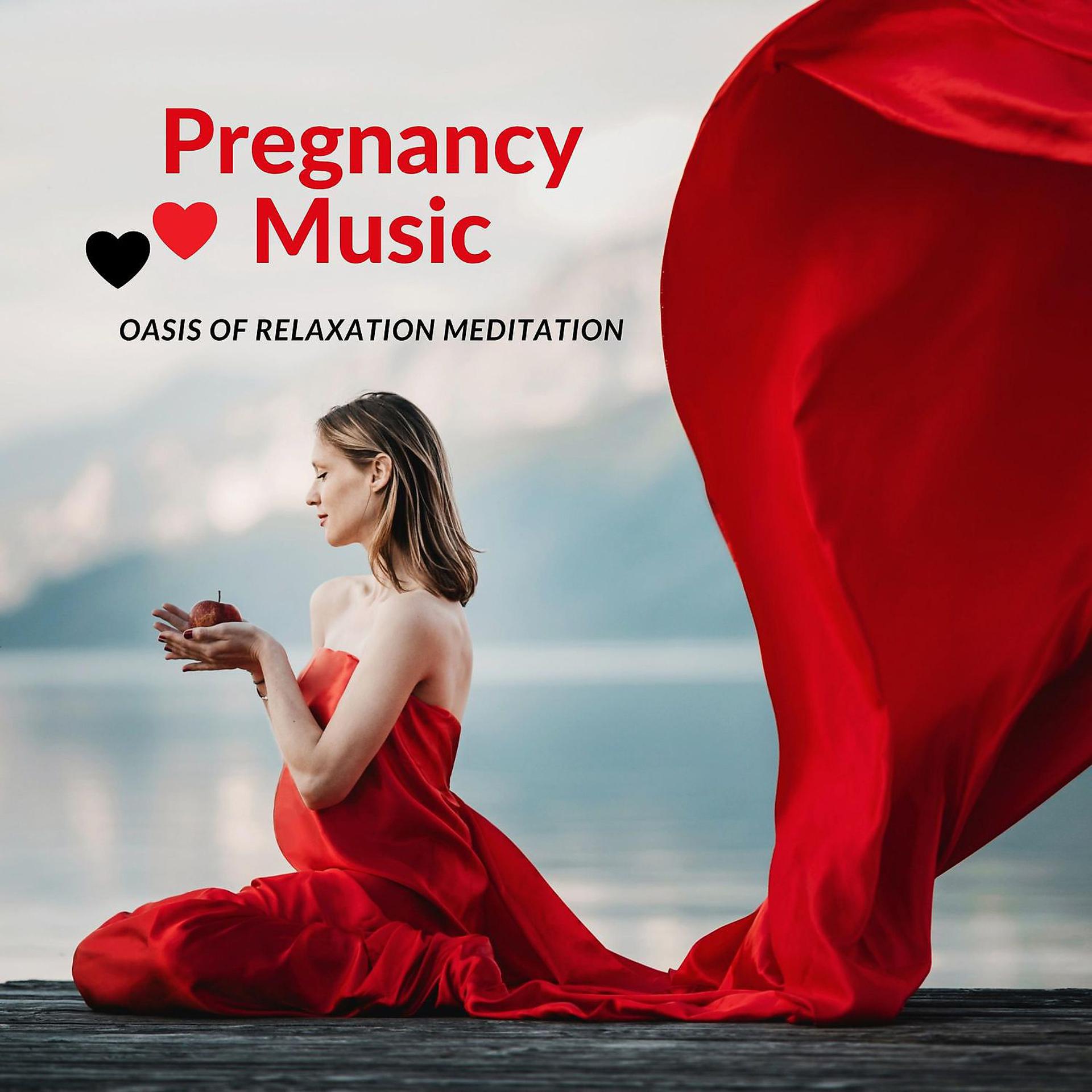 Постер альбома Pregnancy Music: Oasis of Relaxation Meditation