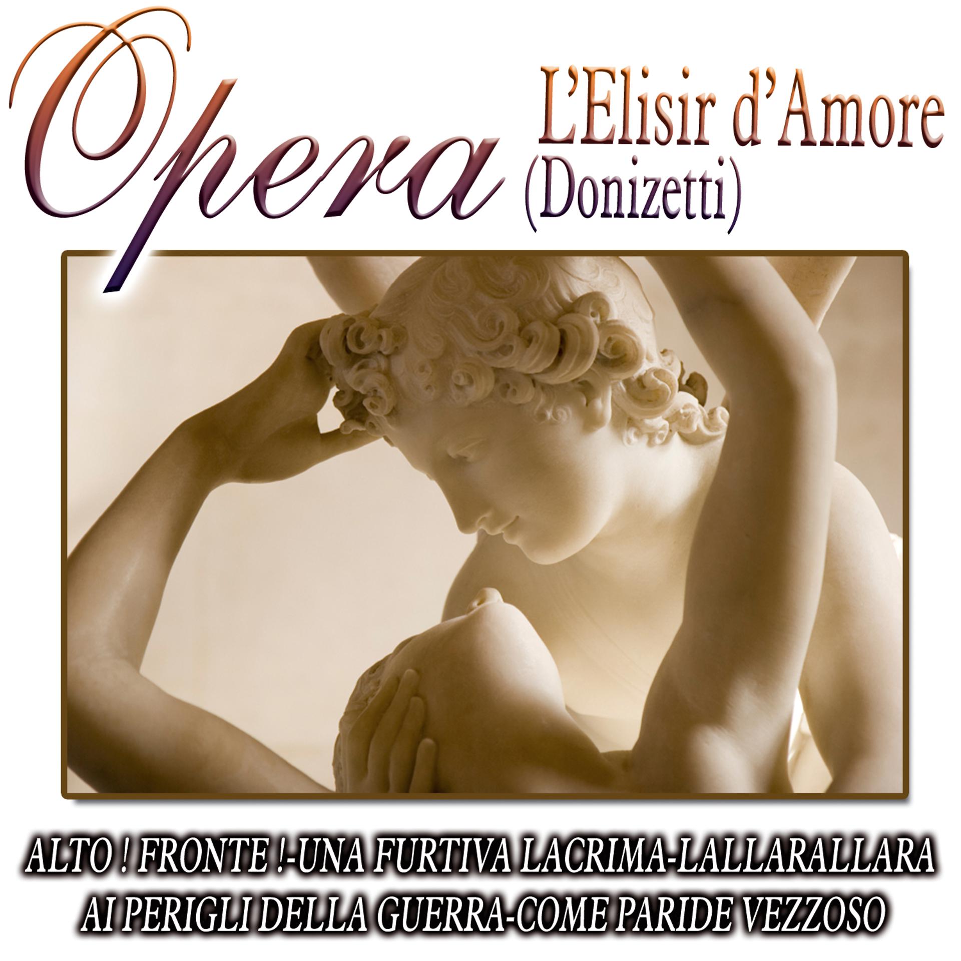 Постер альбома Opera - L'Elisir D'Amore
