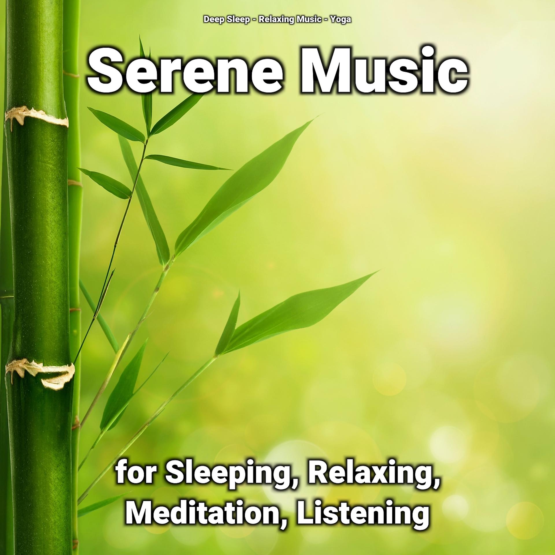 Постер альбома Serene Music for Sleeping, Relaxing, Meditation, Listening