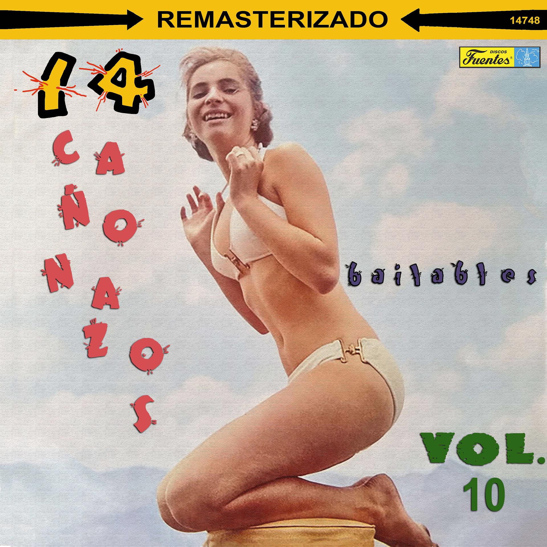 Постер альбома 14 Cañonazos Bailables, Vol. 10