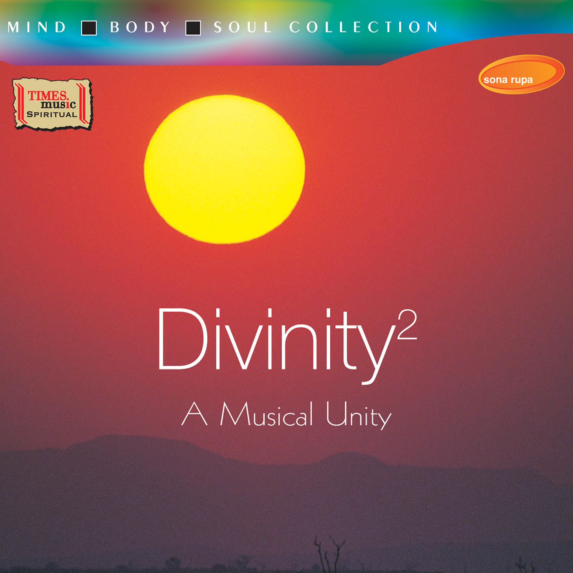 Постер альбома Divinity 2 - A Musical Unity