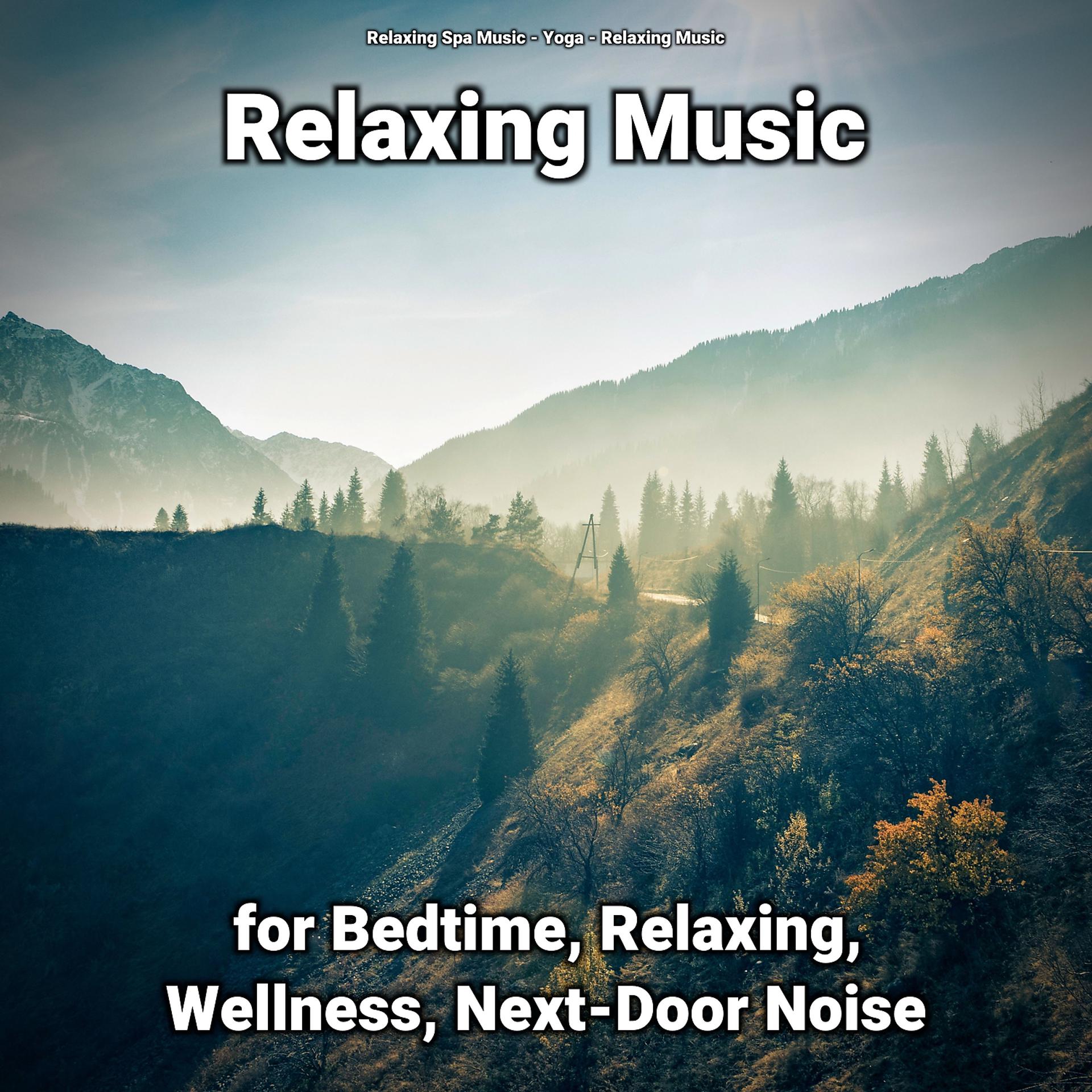 Постер альбома Relaxing Music for Bedtime, Relaxing, Wellness, Next-Door Noise