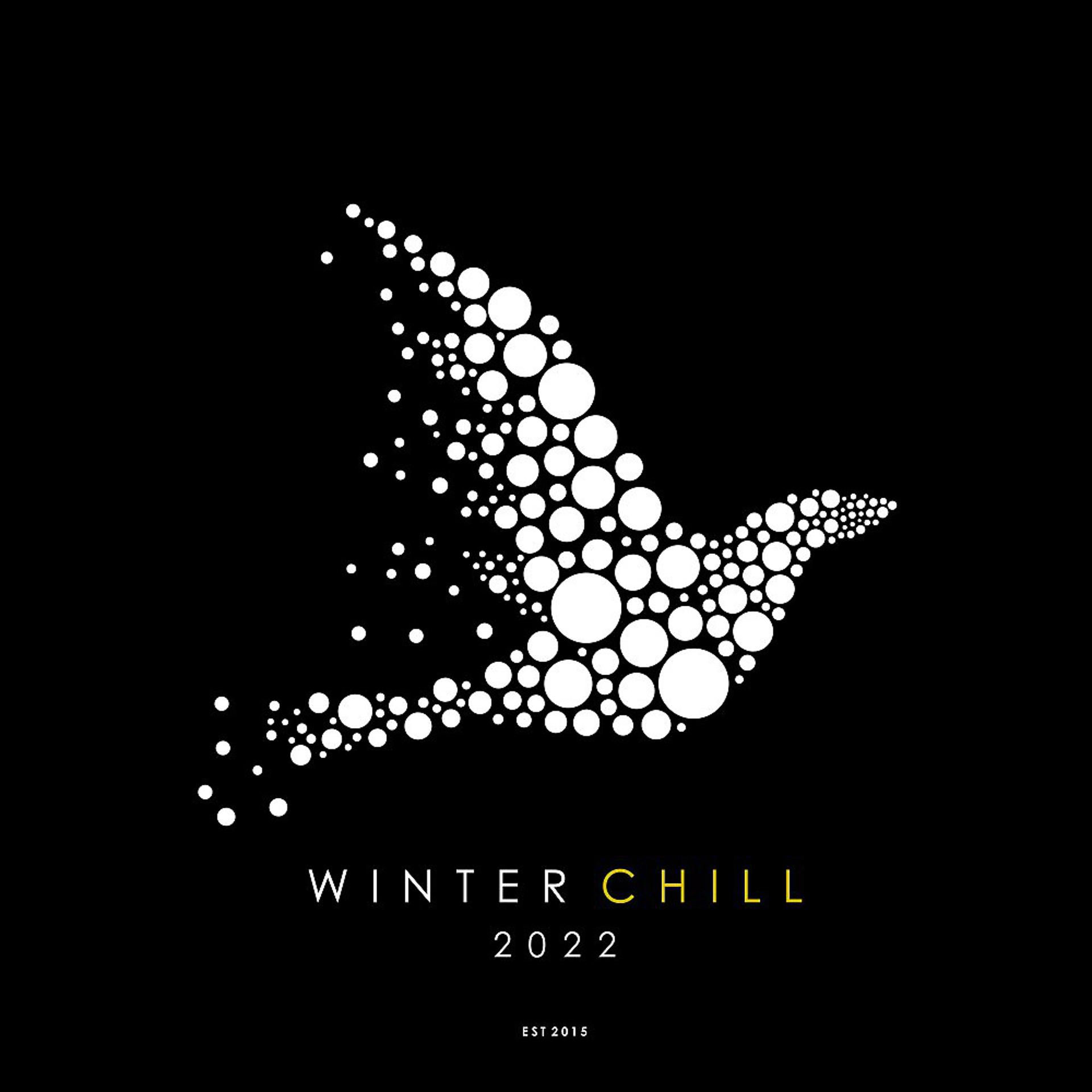 Постер альбома Winter Chill 2022 (Relaxed Nu-Disco & Deep House Sounds)