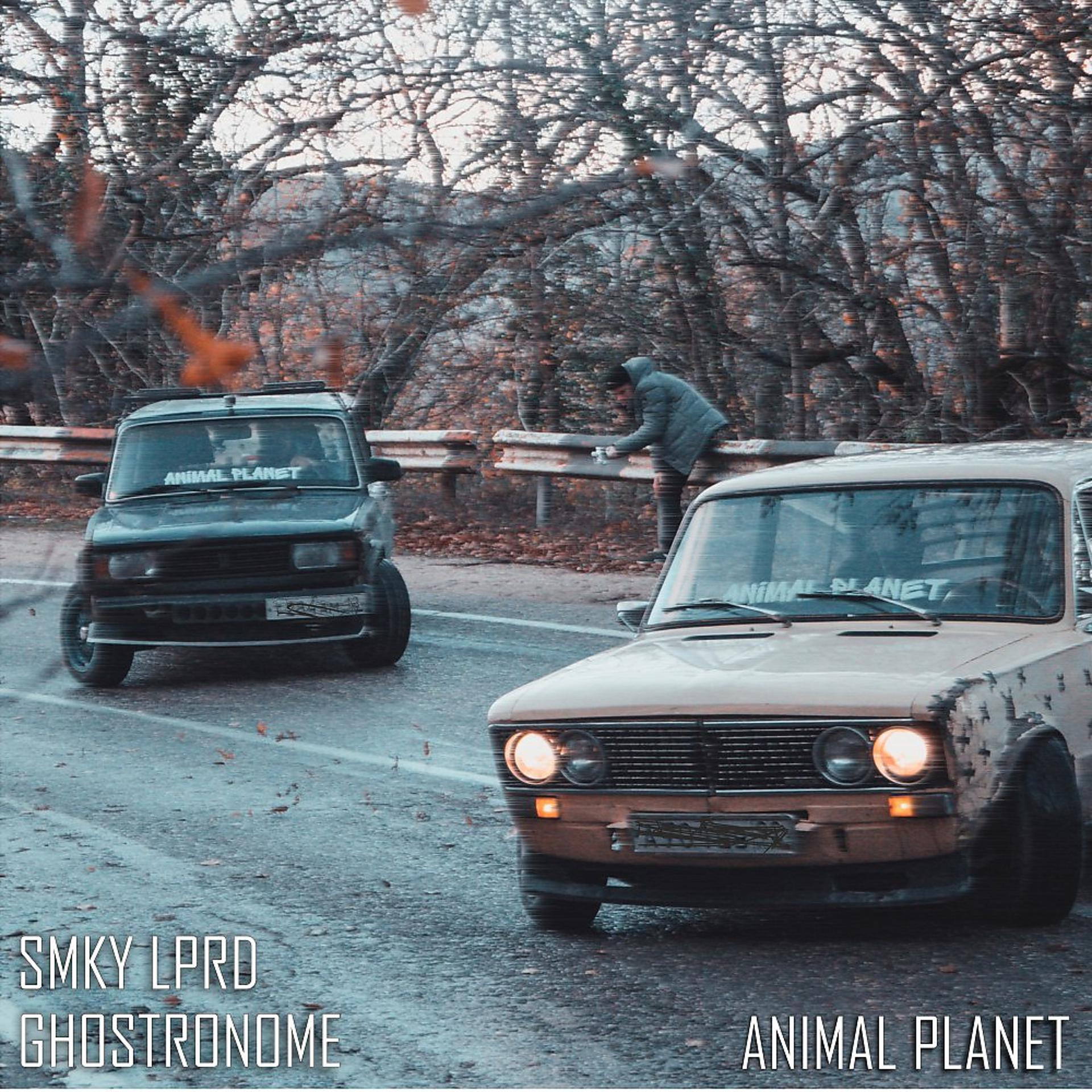 Постер альбома Animal PLANET