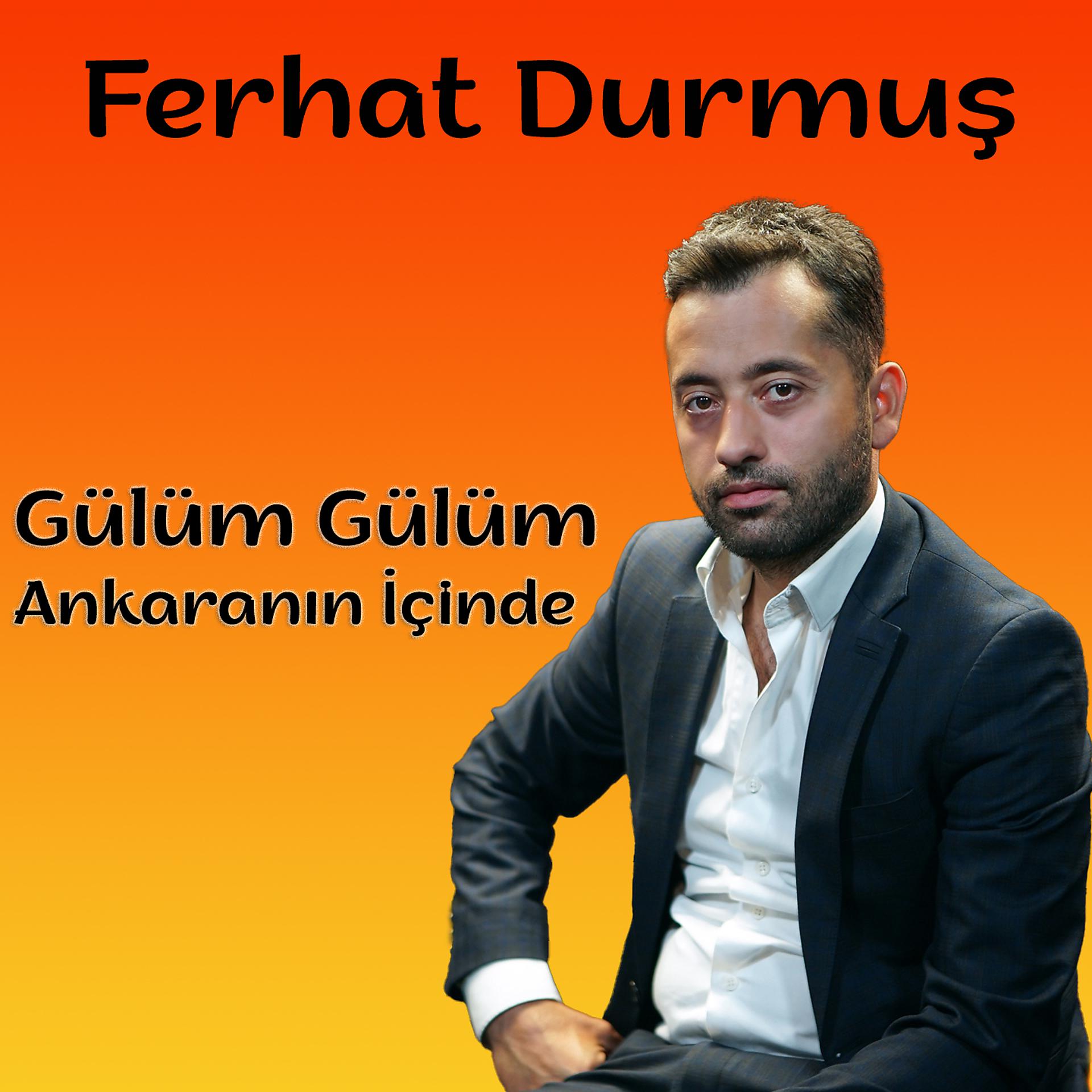 Постер альбома Gülüm Gülüm / Ankaranın İçinde