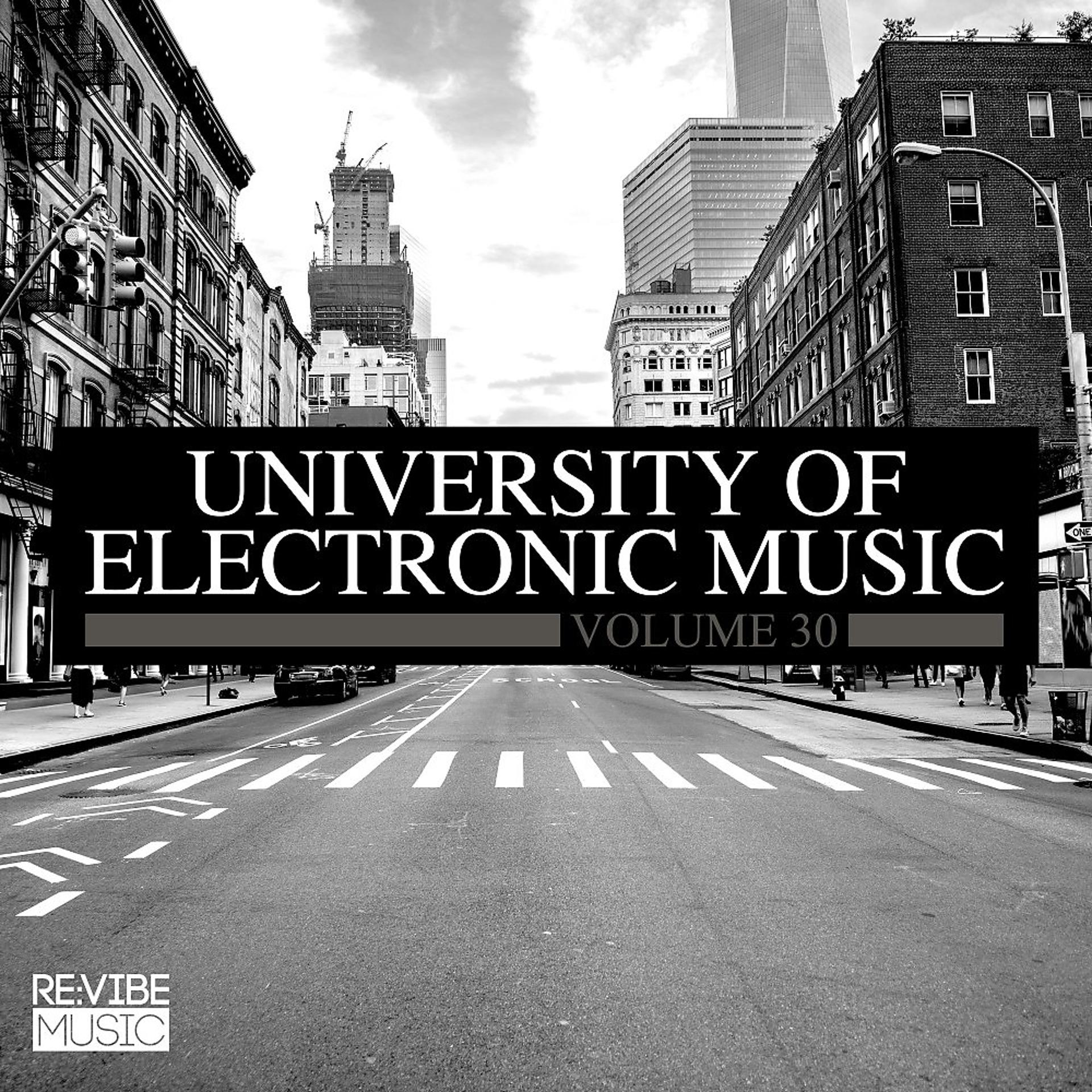 Постер альбома University of Electronic Music, Vol. 30