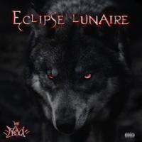 Постер альбома Eclipse lunaire