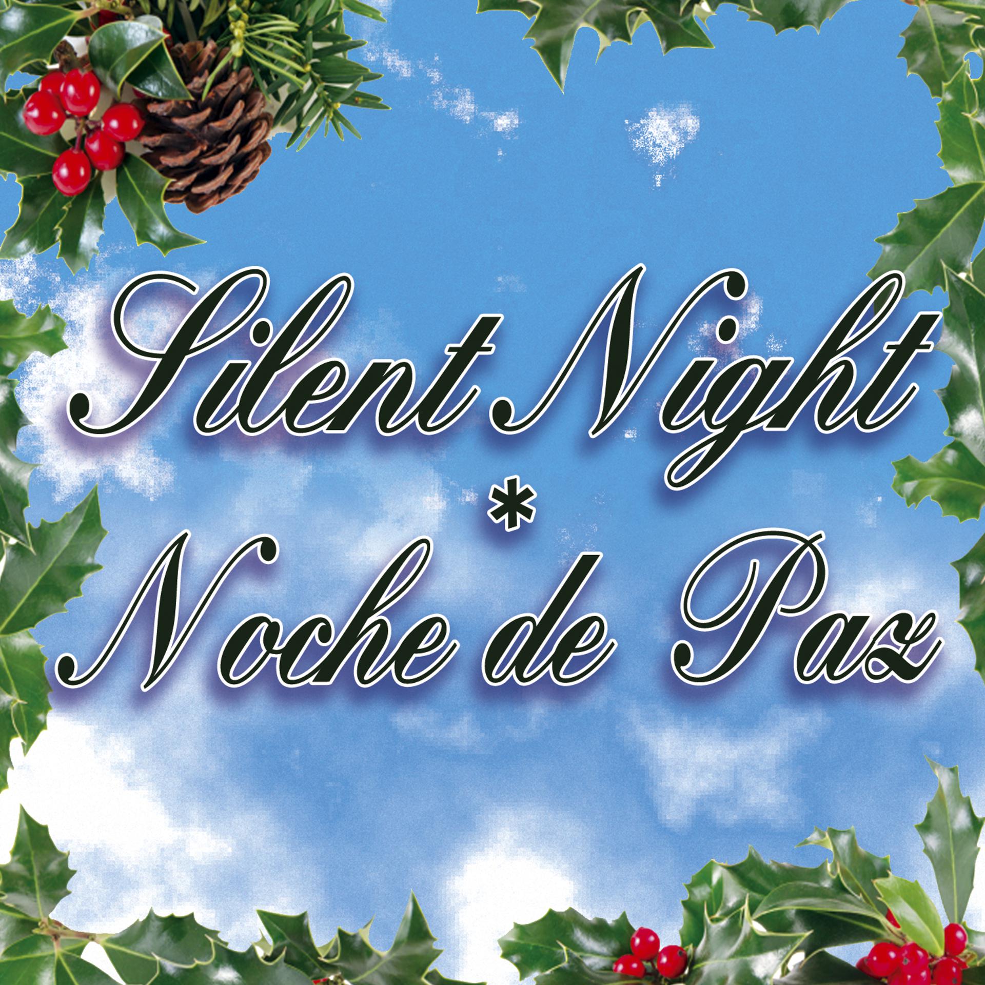 Постер альбома Silent Night - Noche De Paz