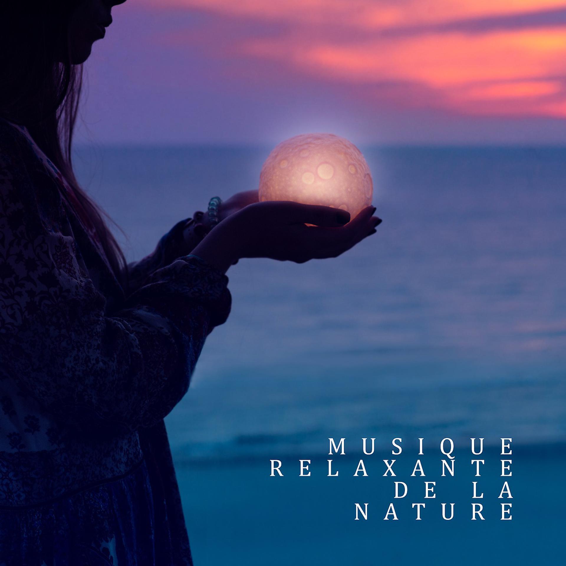 Постер альбома Musique relaxante de la nature