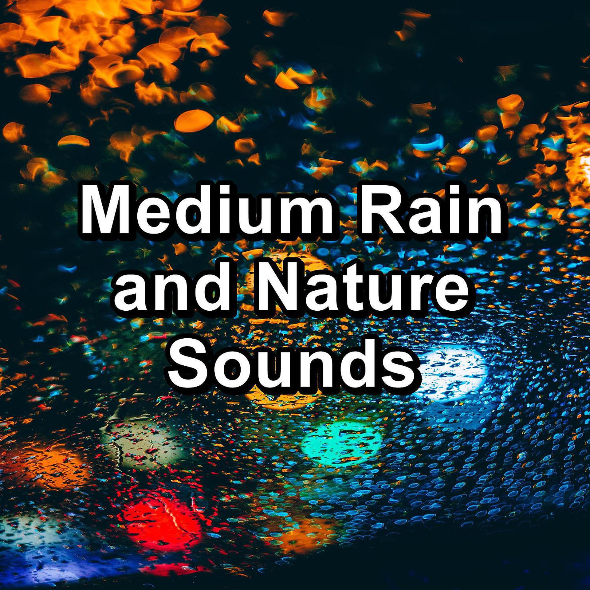 Постер альбома Medium Rain and Nature Sounds