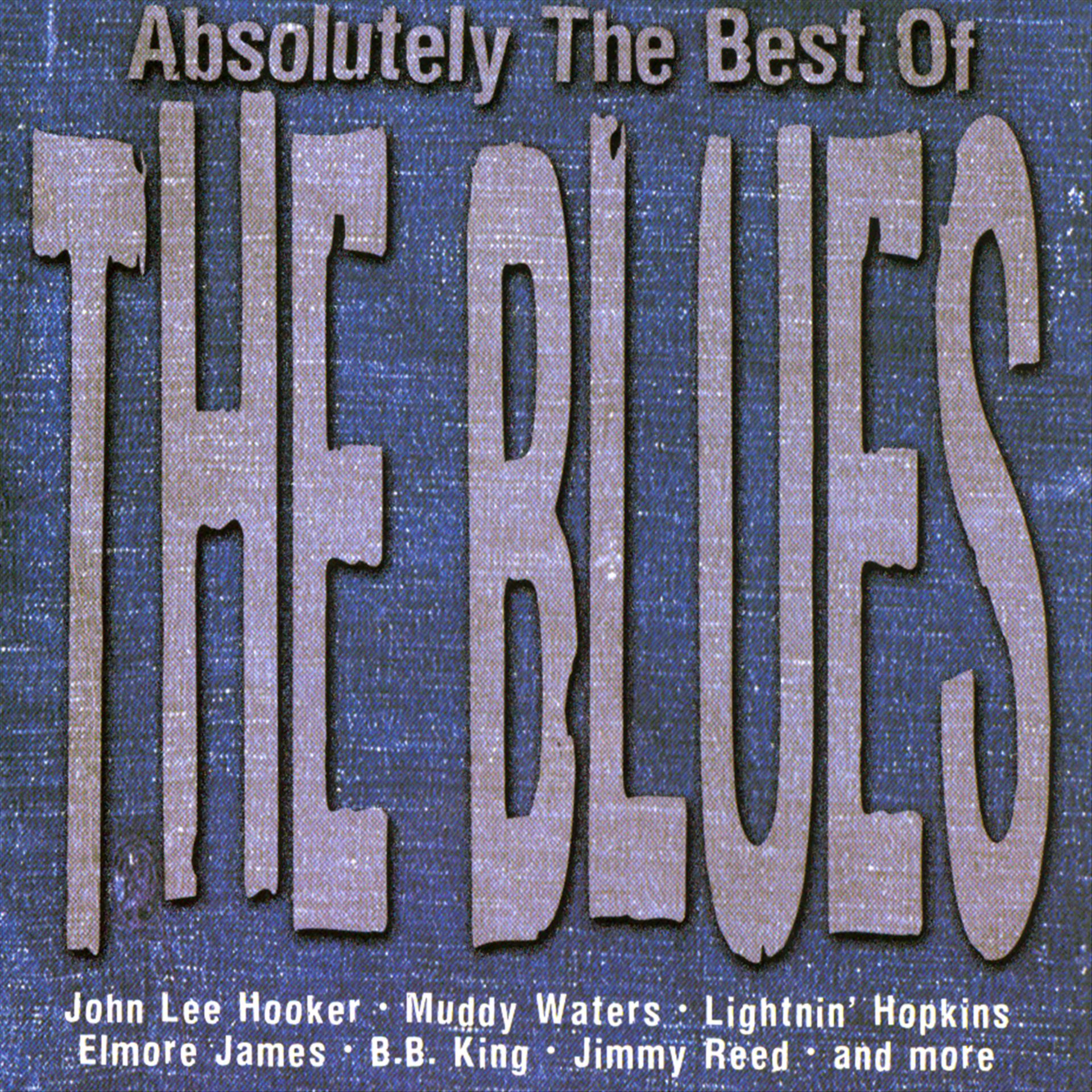Постер альбома Absolutely the Best of the Blues