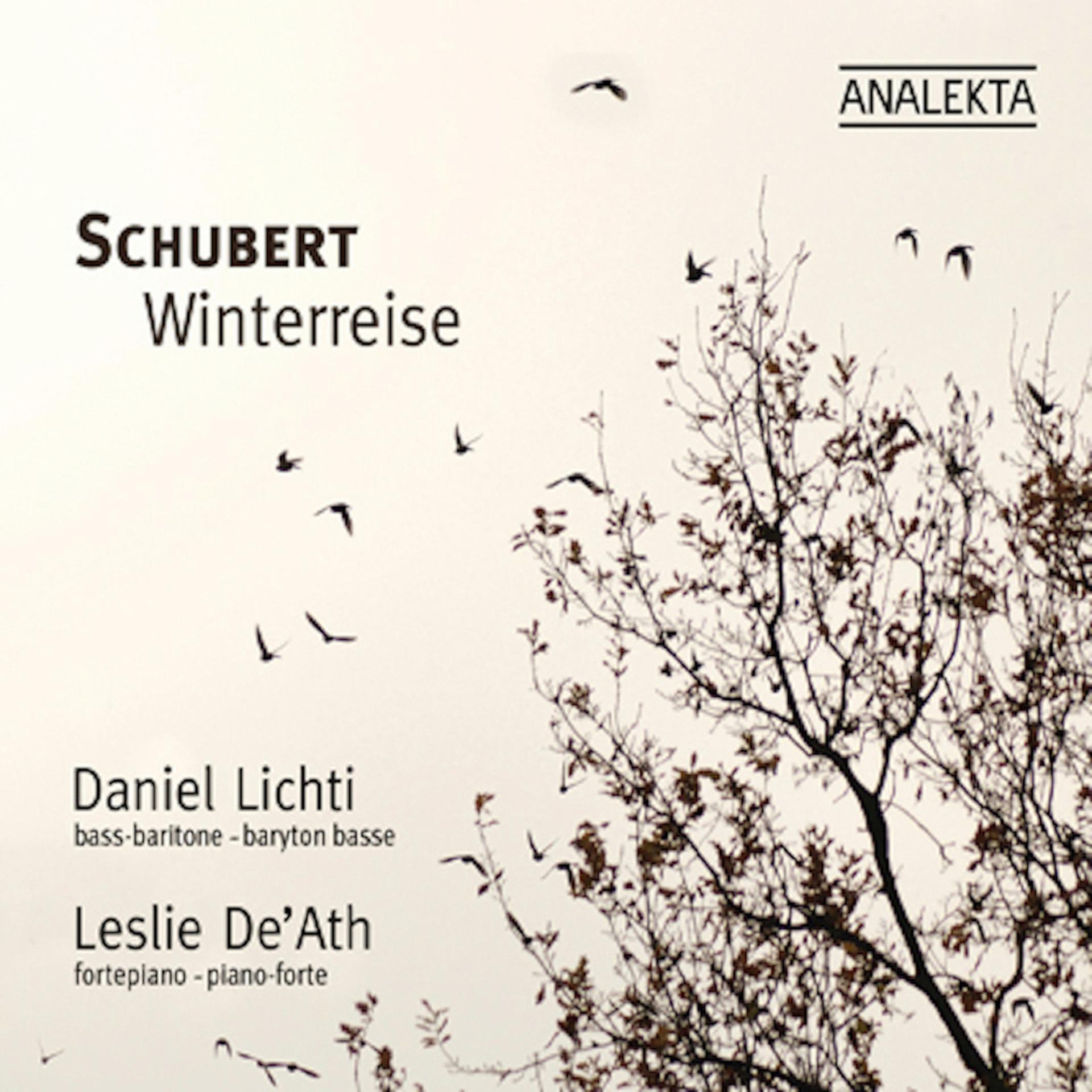 Постер альбома Winterreise (Winter Journey)
