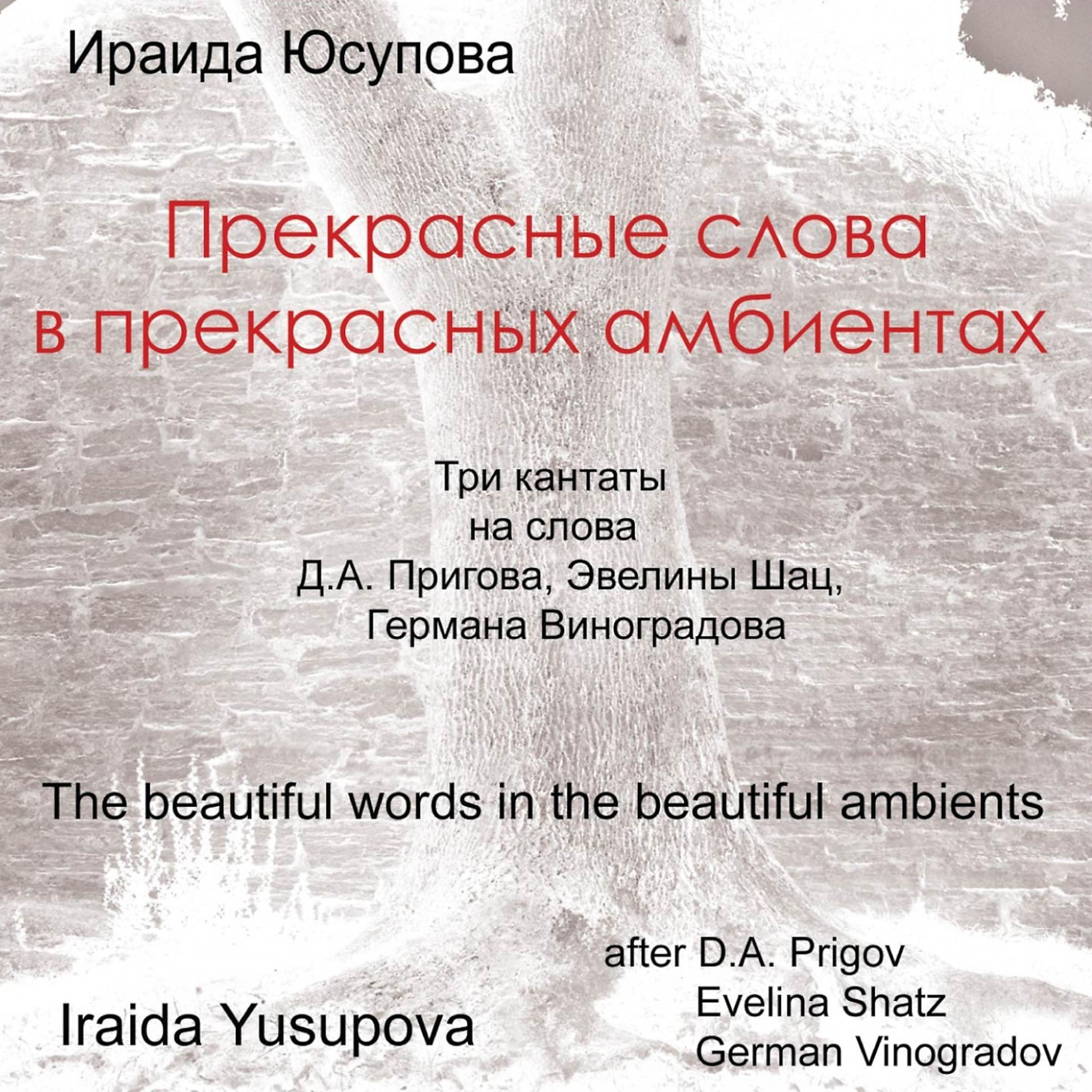 Постер альбома Iraida Yusupova: The Beautiful Words in the Beautiful Ambients