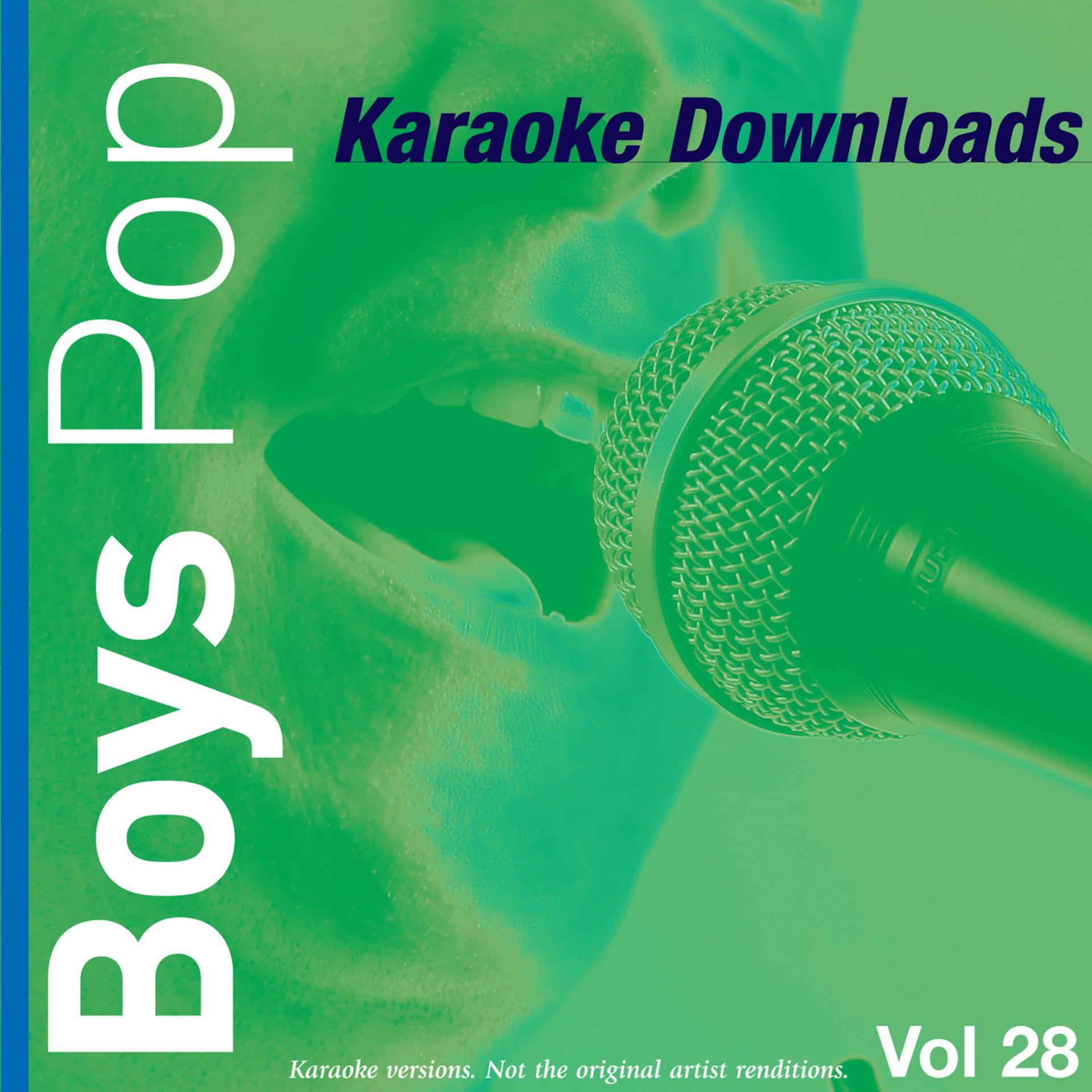 Постер альбома Karaoke Downloads - Boys Pop Vol.28