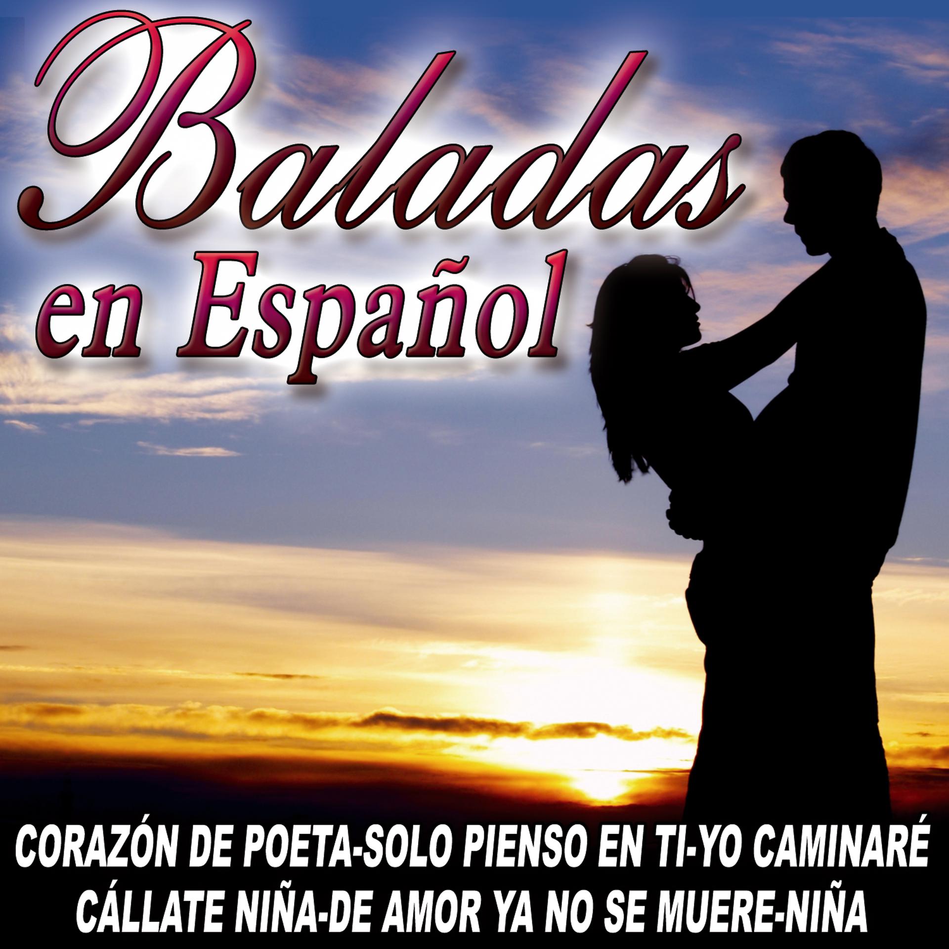 Постер альбома Baladas En Español