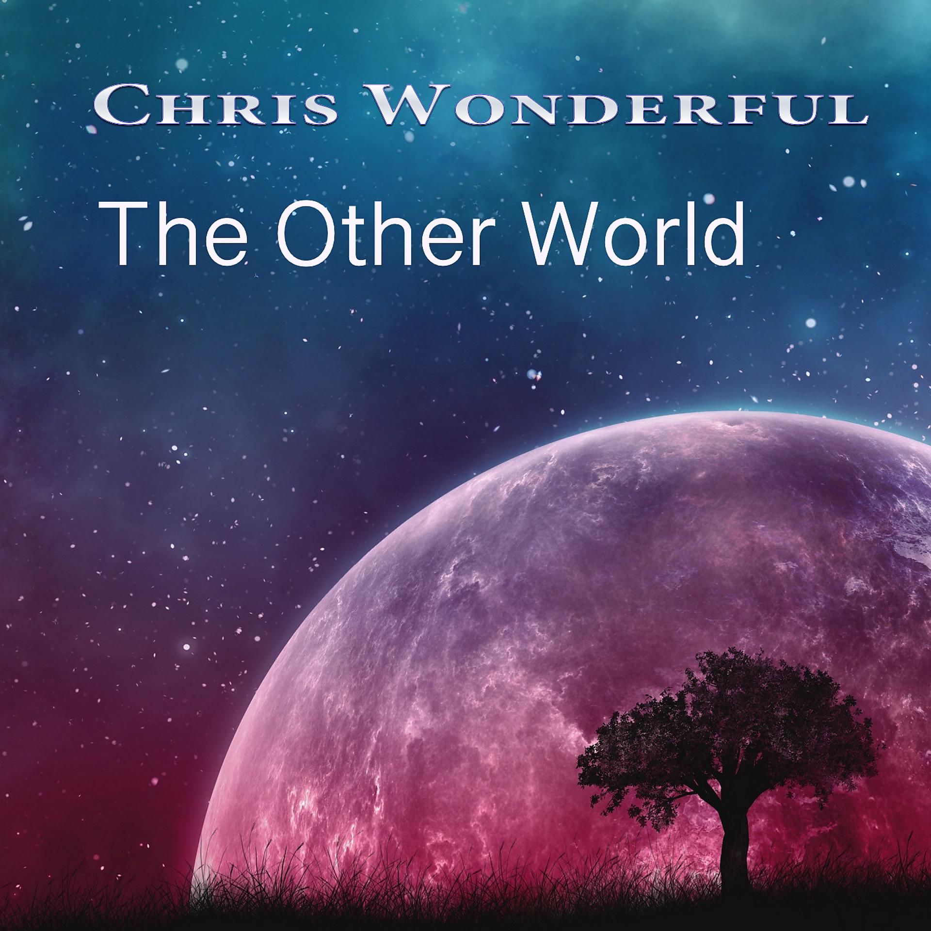 Постер альбома The Other World