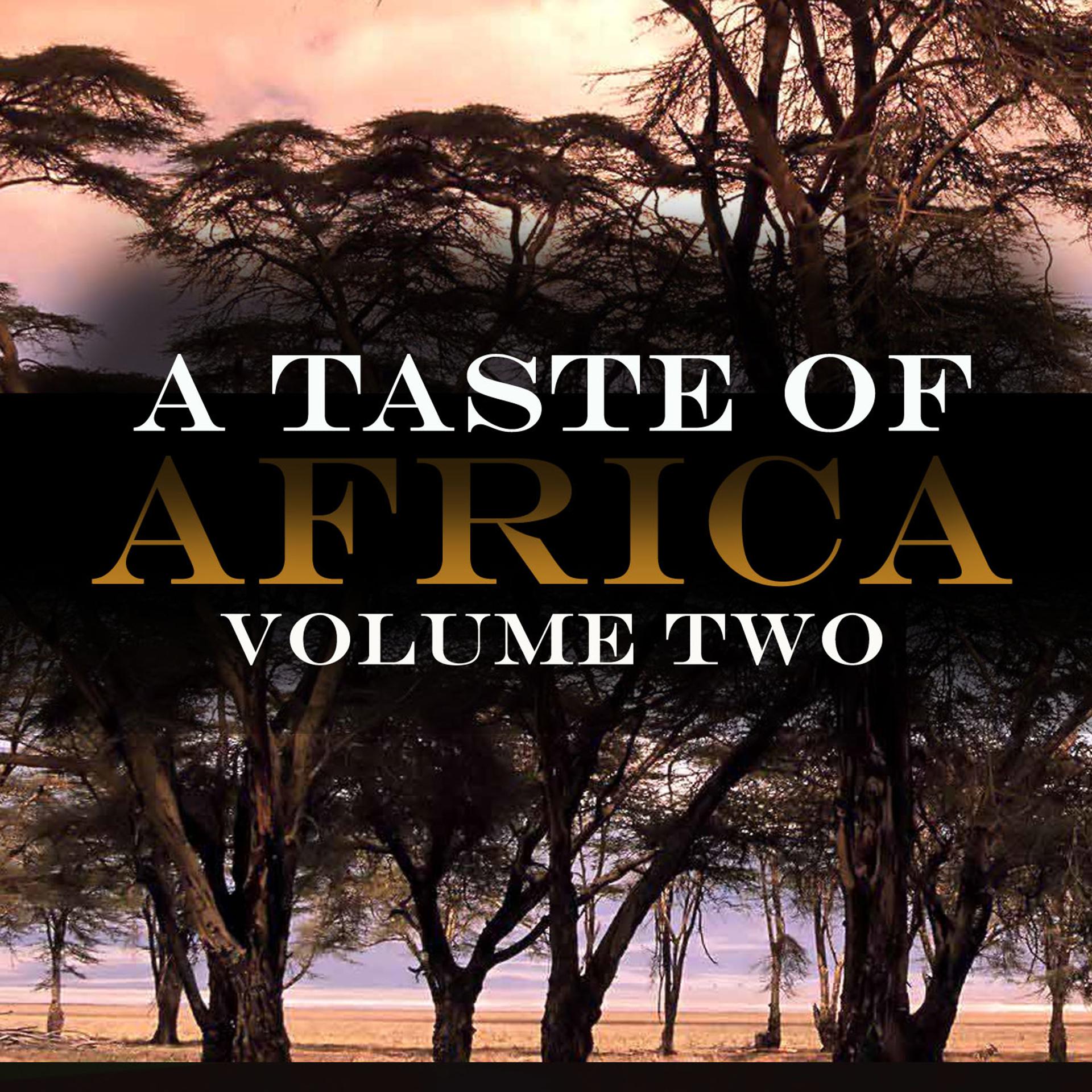 Постер альбома A Taste Of Africa Vol 2