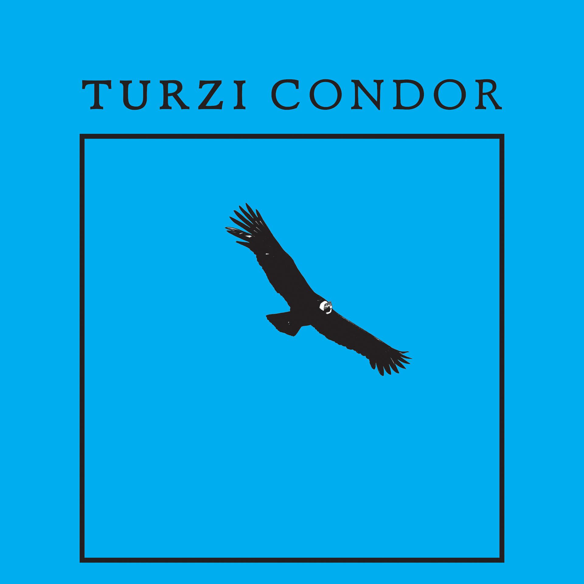 Постер альбома Condor - EP