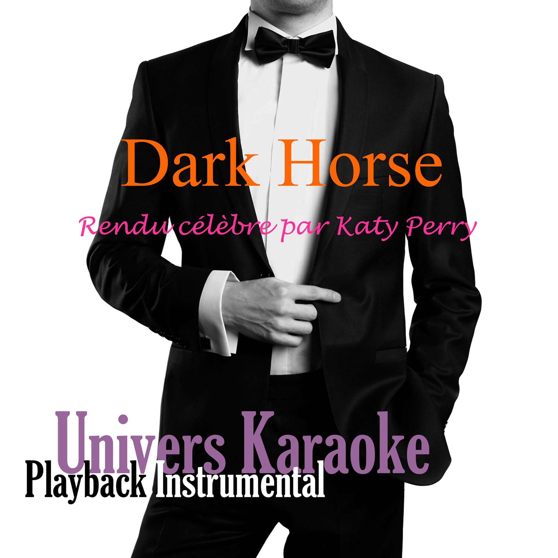 Постер альбома Dark Horse (Rendu célèbre par Katy Perry) [Version karaoké] - Single