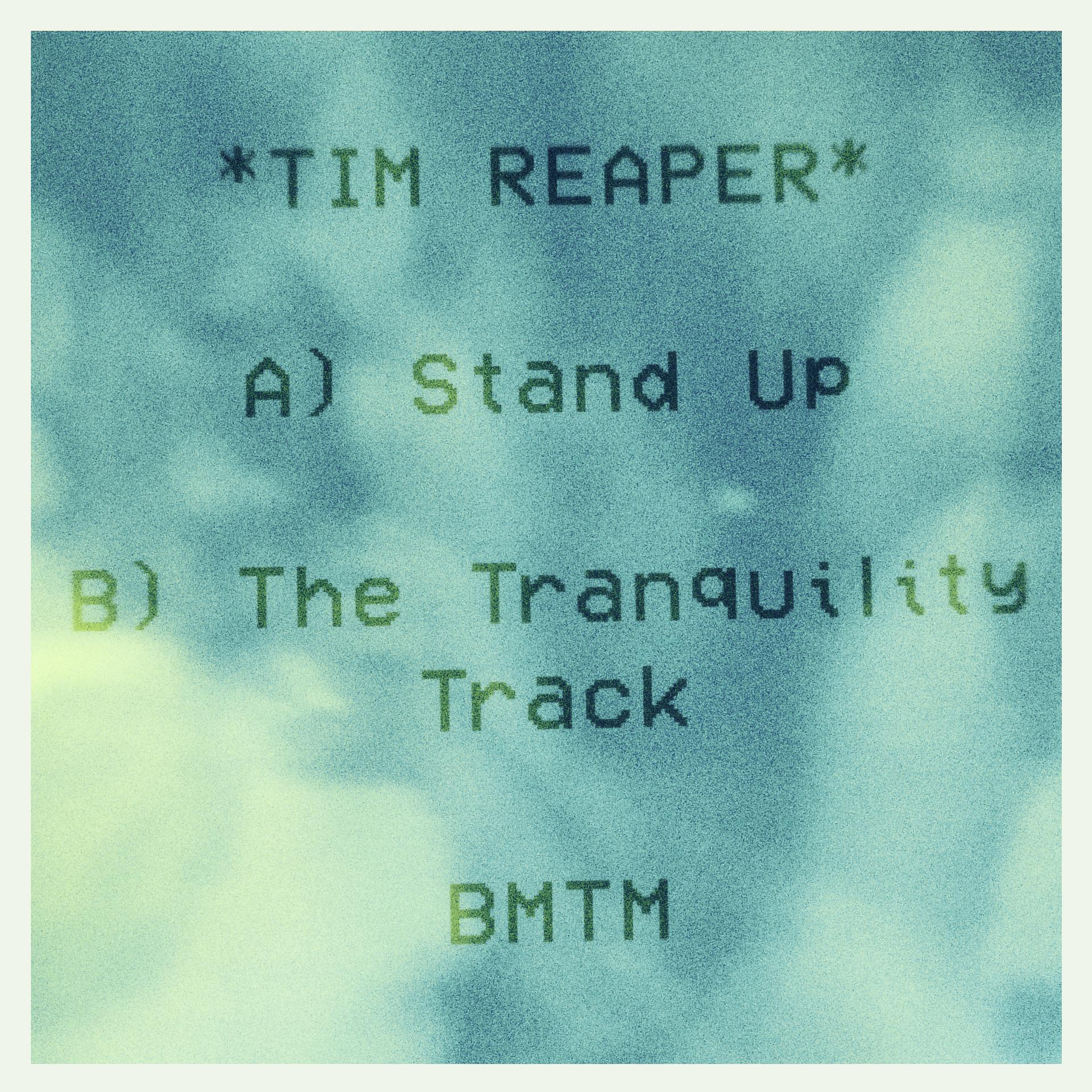 Постер альбома Stand Up / The Tranquility Track