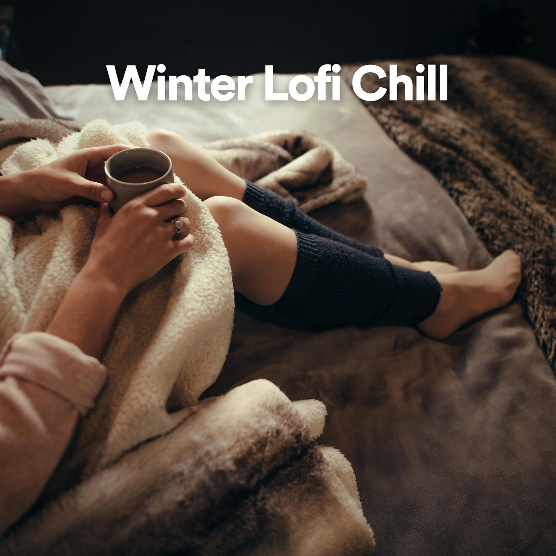 Постер альбома Winter Lofi Chill